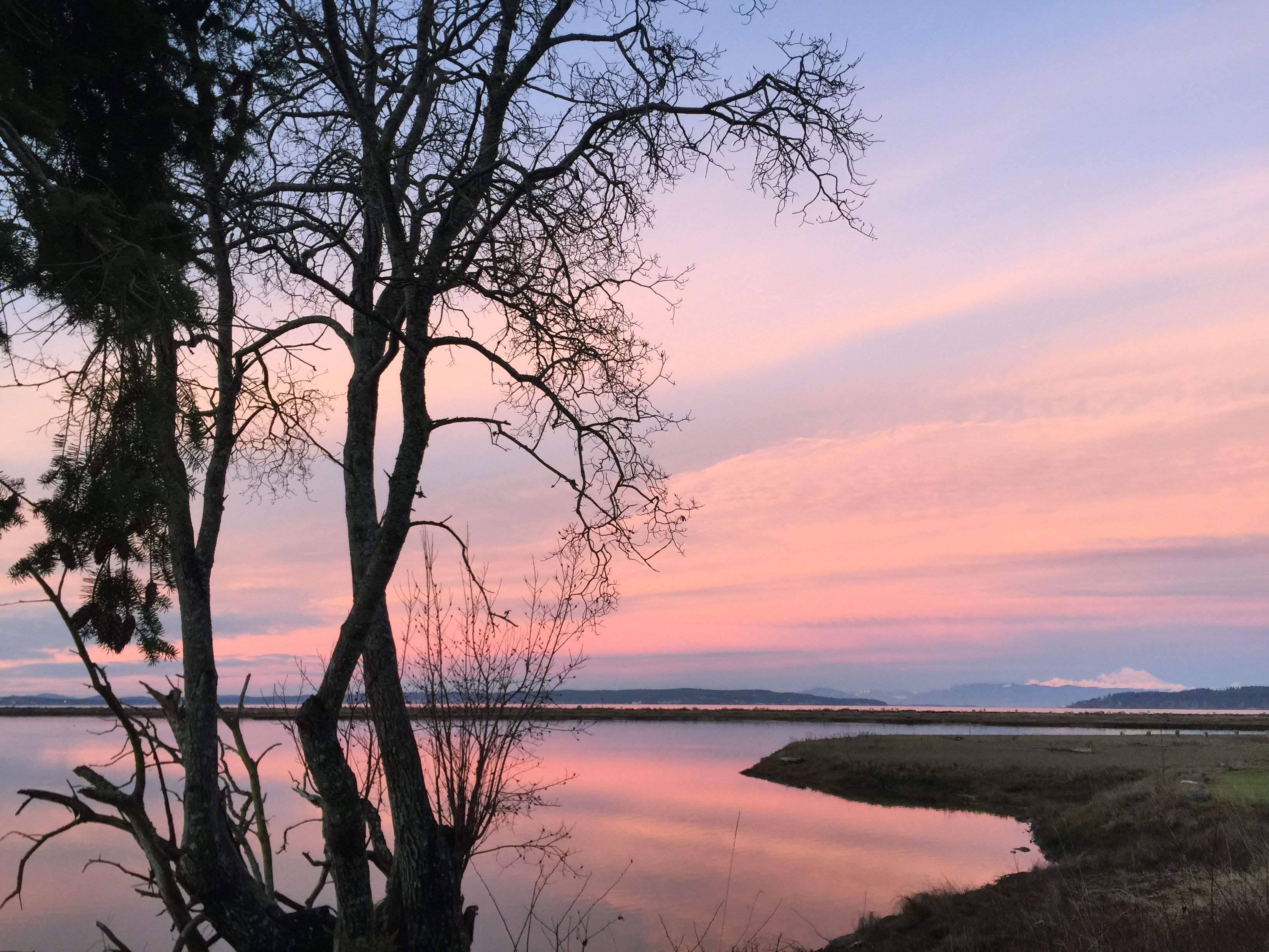  507 Race Road, Coupeville, WA 98239 - 物件實景