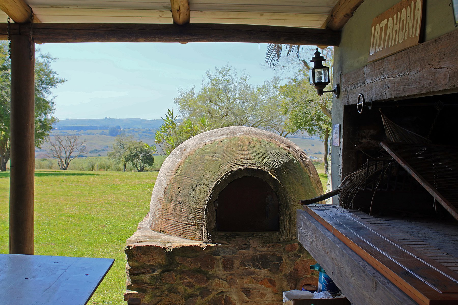  Farm with olive groves in Pueblo Edén - 物件實景