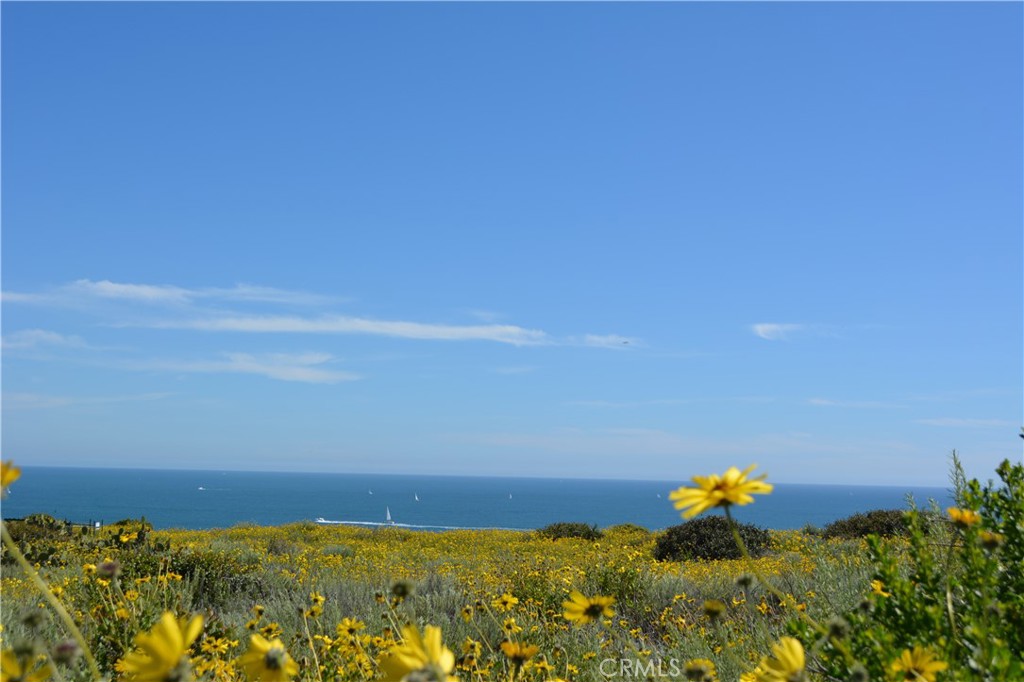 Dana Point, California, 92629, United States, ,Residential,For Sale,1924804