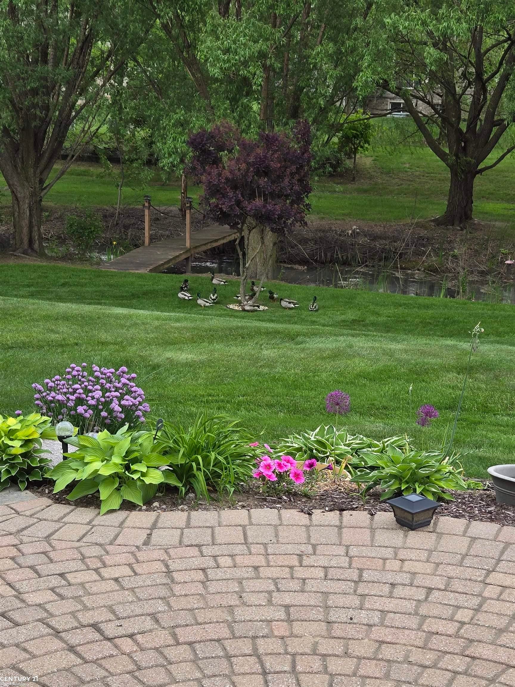 Macomb Twp, Michigan, 48044, United States, 4 Bedrooms Bedrooms, ,4 BathroomsBathrooms,Residential,For Sale,1894299