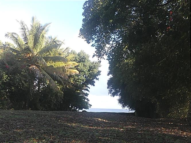 Sosua, DO, ,Land,For Sale,1164552