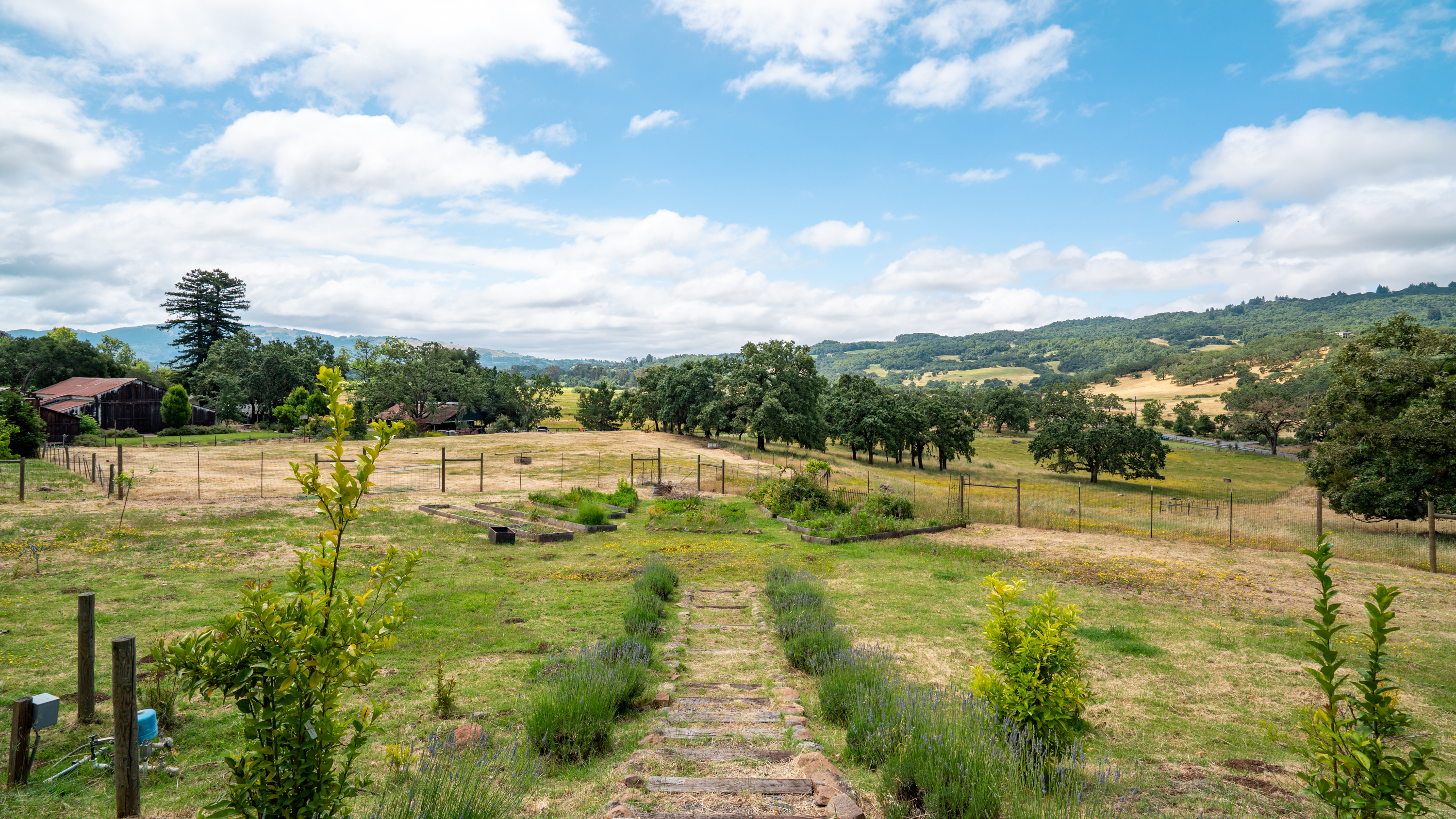  Exceptional Bennett Valley Country Estate - 物件實景