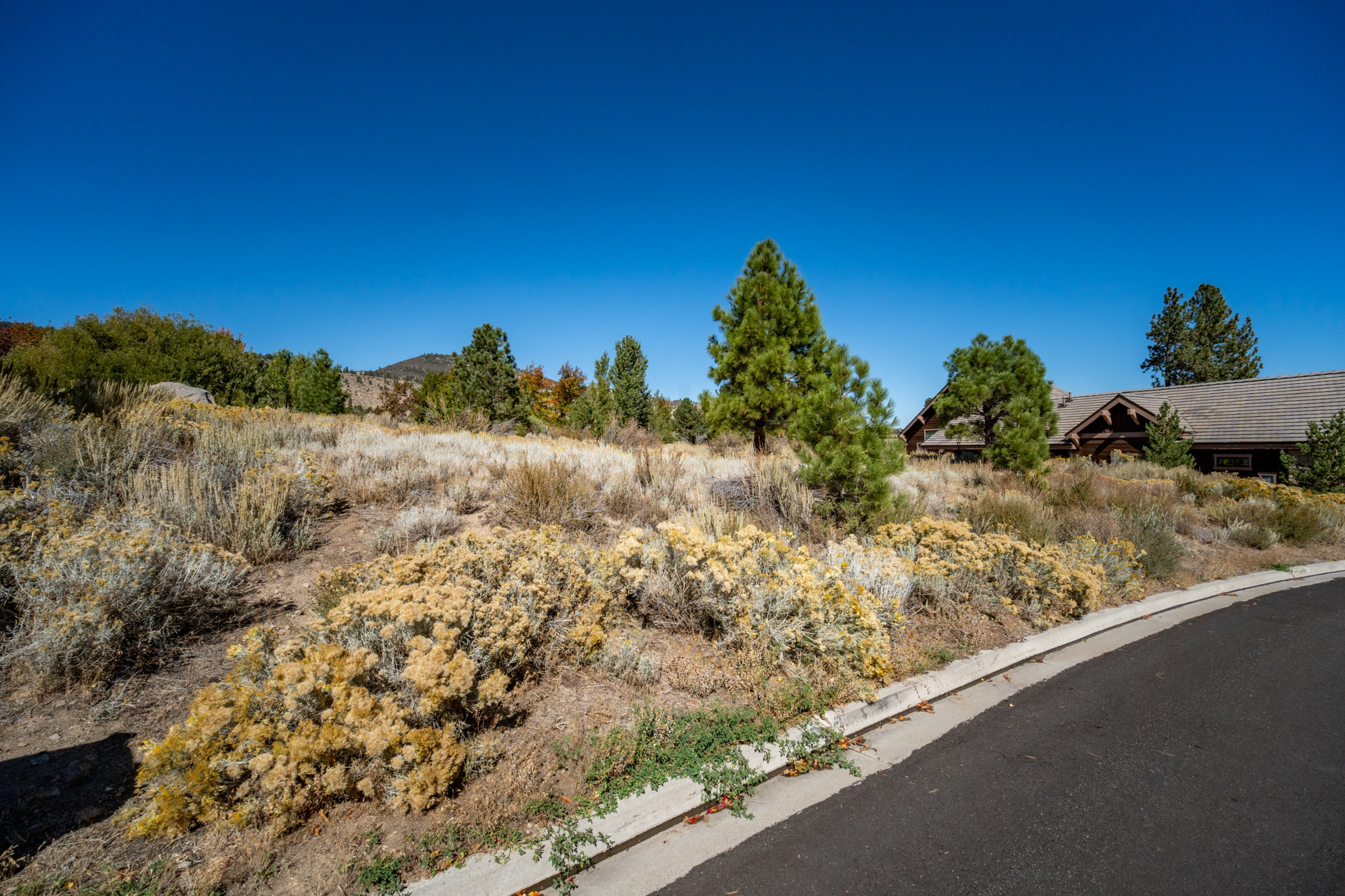  New to Market - 物件實景