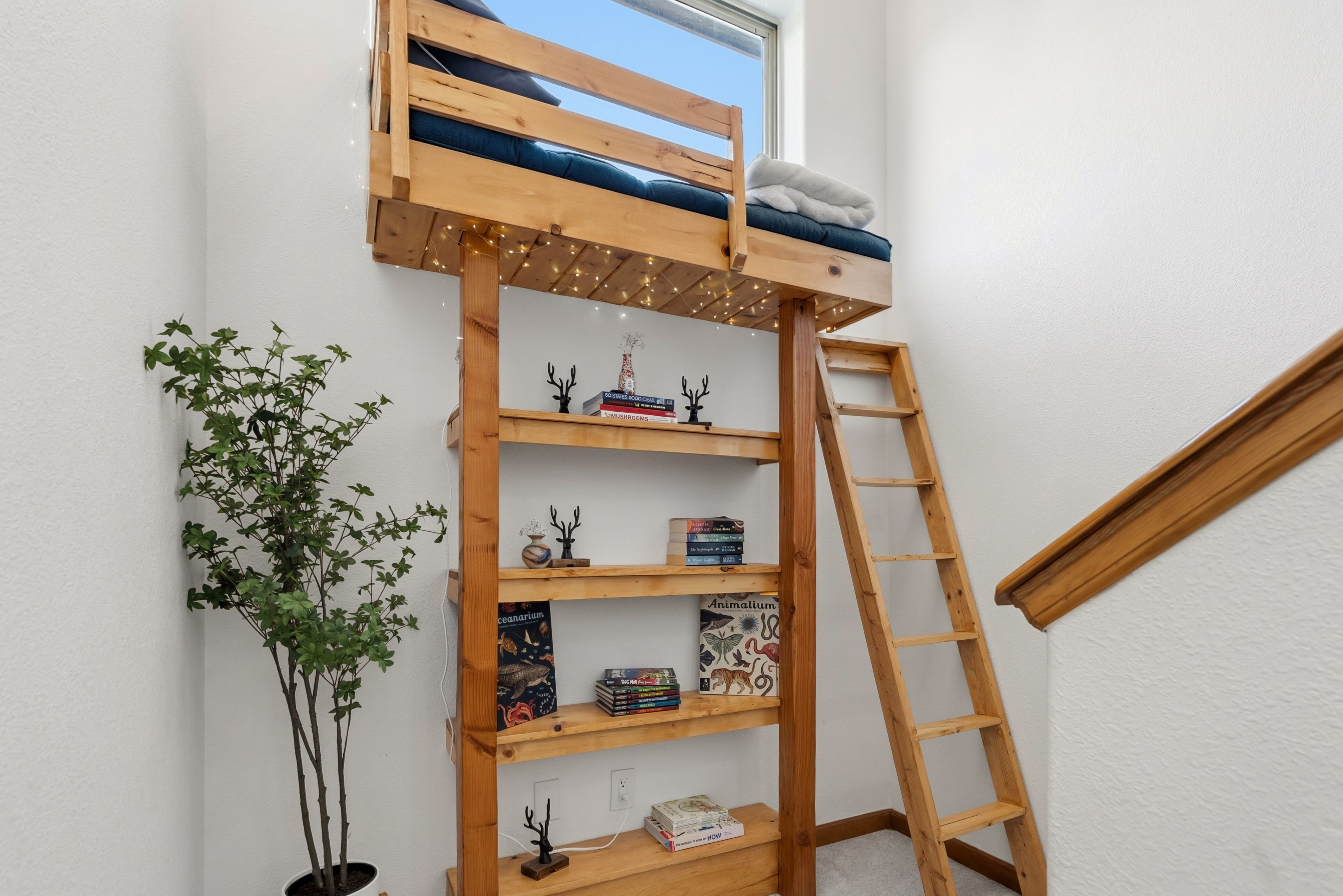  15 Lookout Ridge Drive, Dillon, CO, 80435 - 物件實景