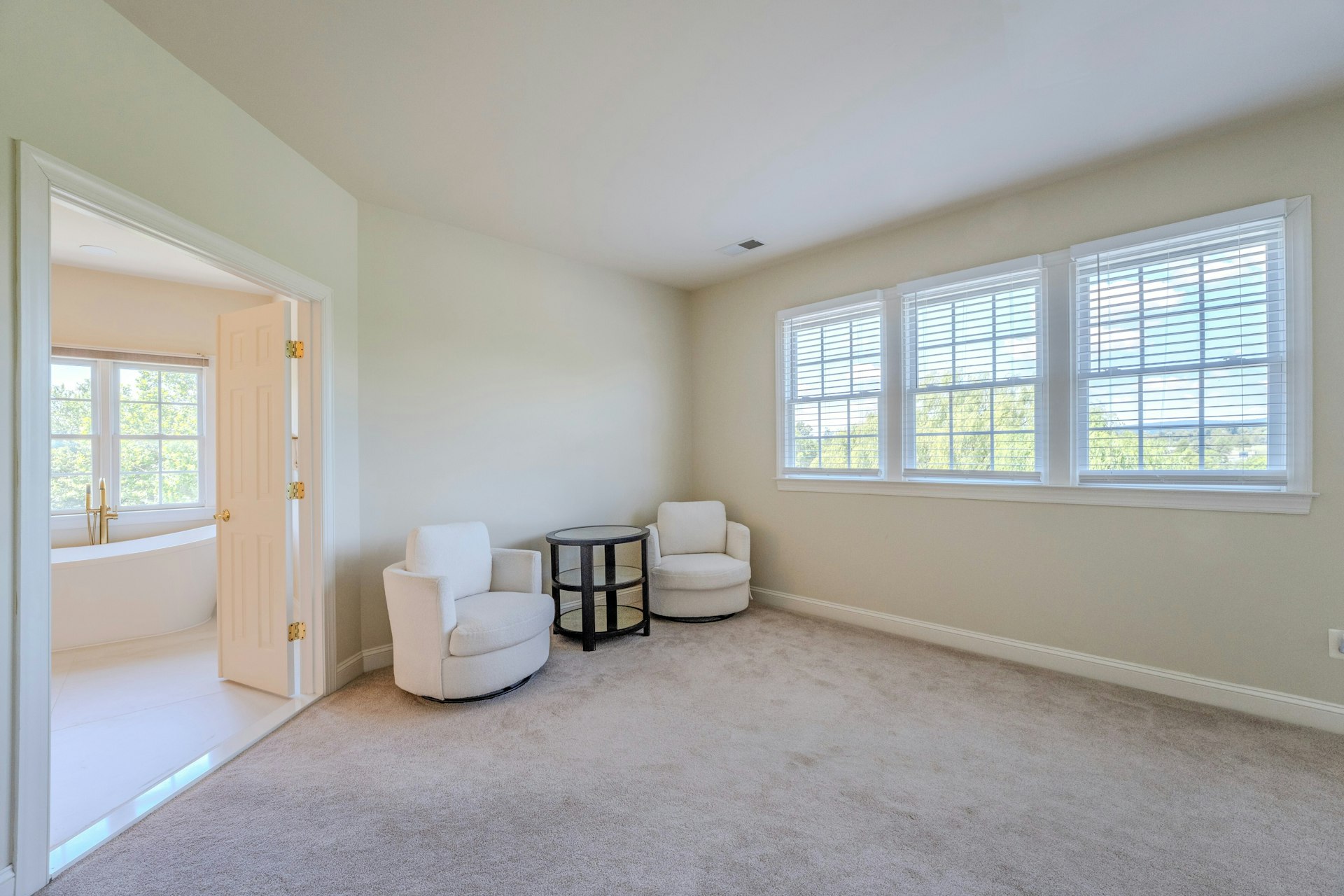  16619 Chestnut Overlook Drive, Purcellville, VA 20132 - 物件實景