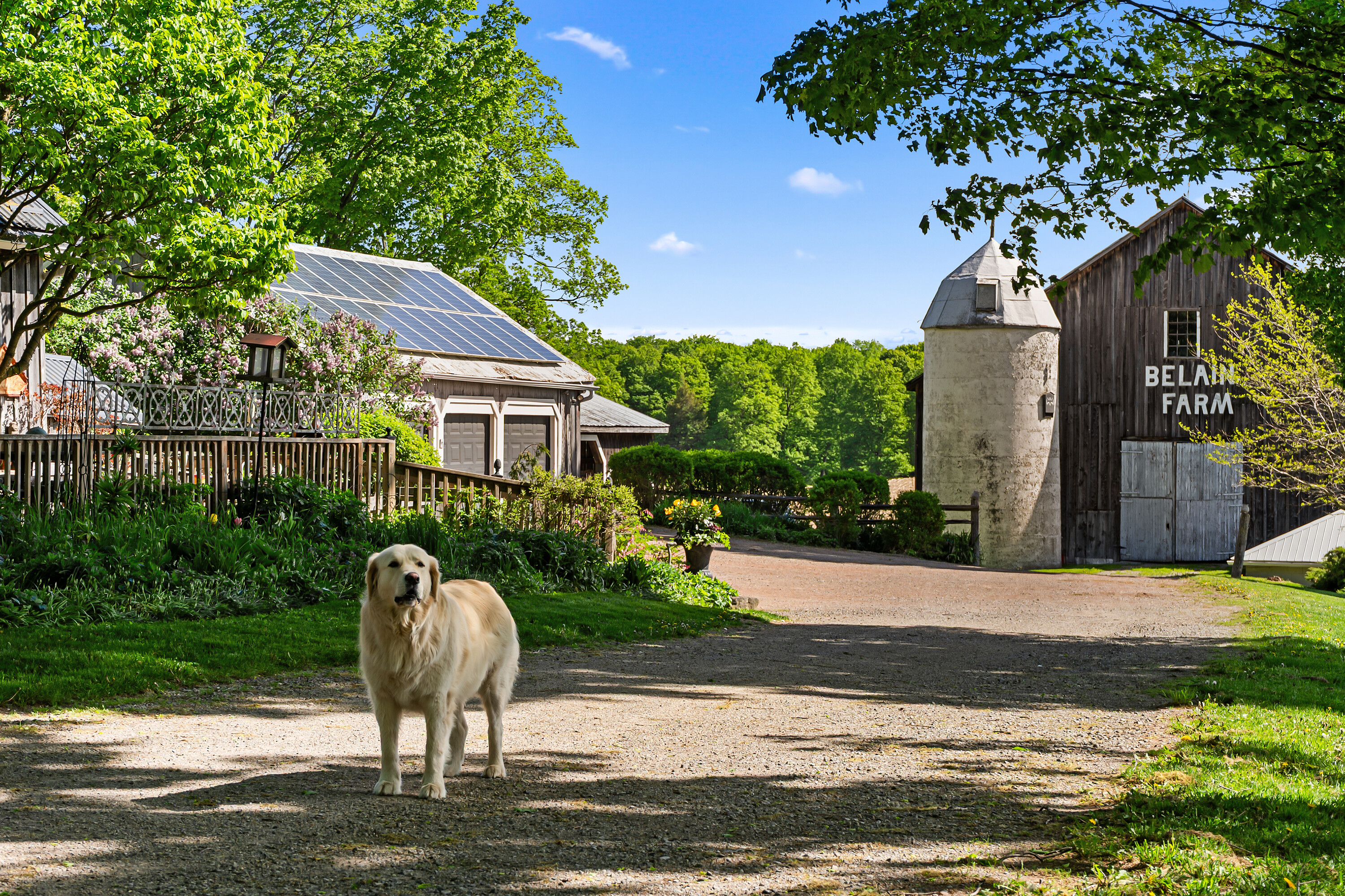  Country Living - 物件實景