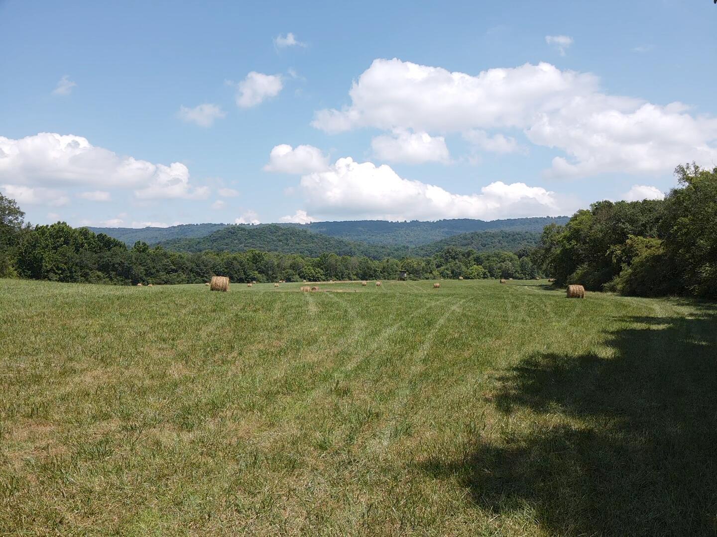 Bryant, Alabama, 35958, United States, ,Land,For Sale,1982684