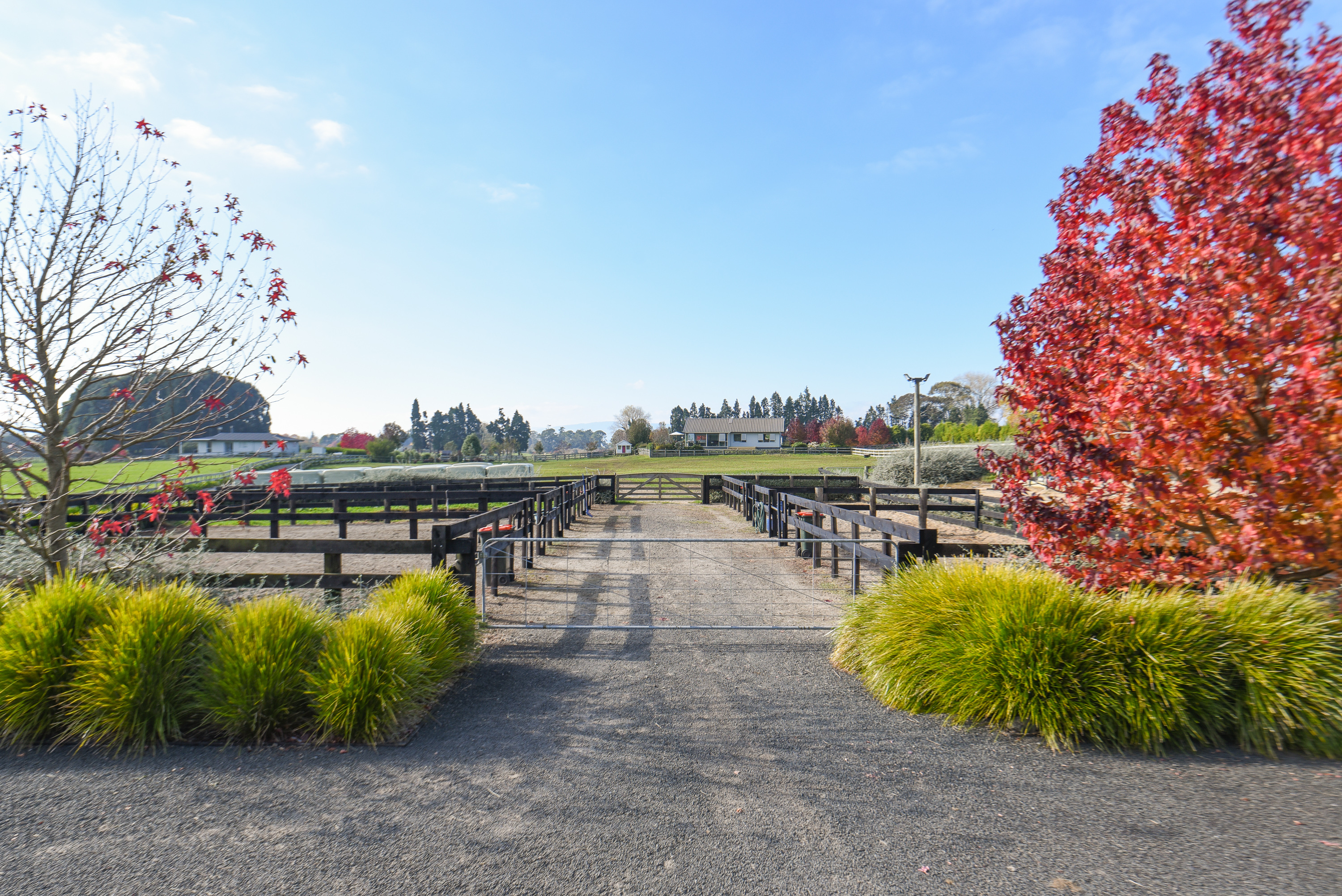  where  equestrian excellence meets lifestyle living - 物件實景