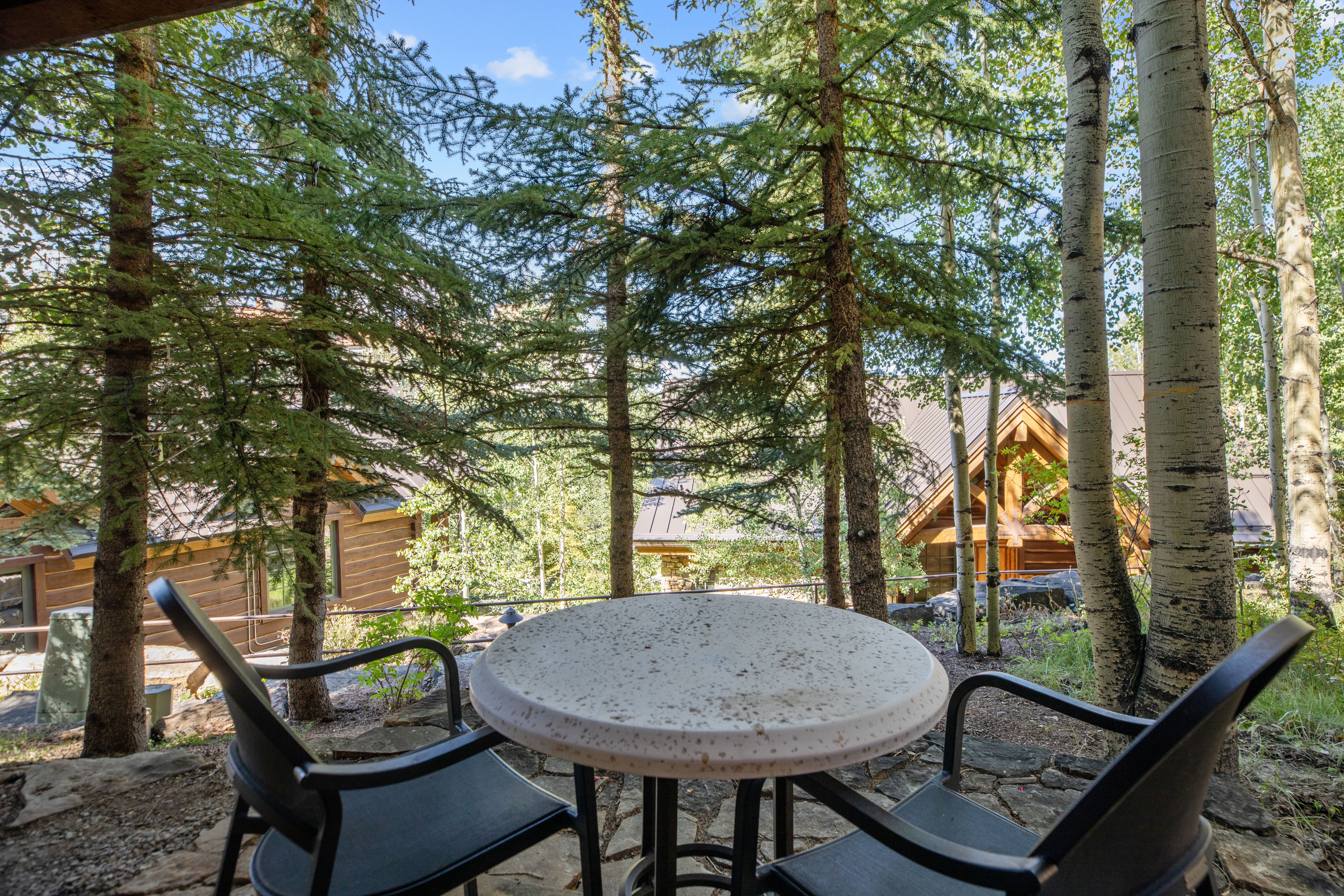  Turnkey Opportunity in Historic Telluride - 物件實景