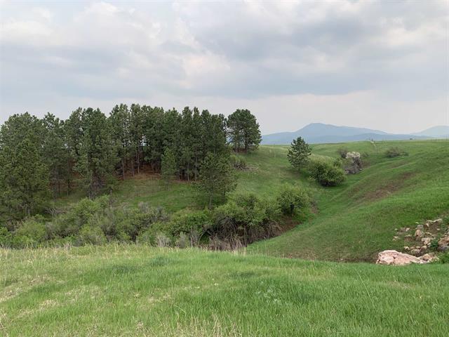 Spearfish, South Dakota, 57783, United States, ,Residential,For Sale,1895101