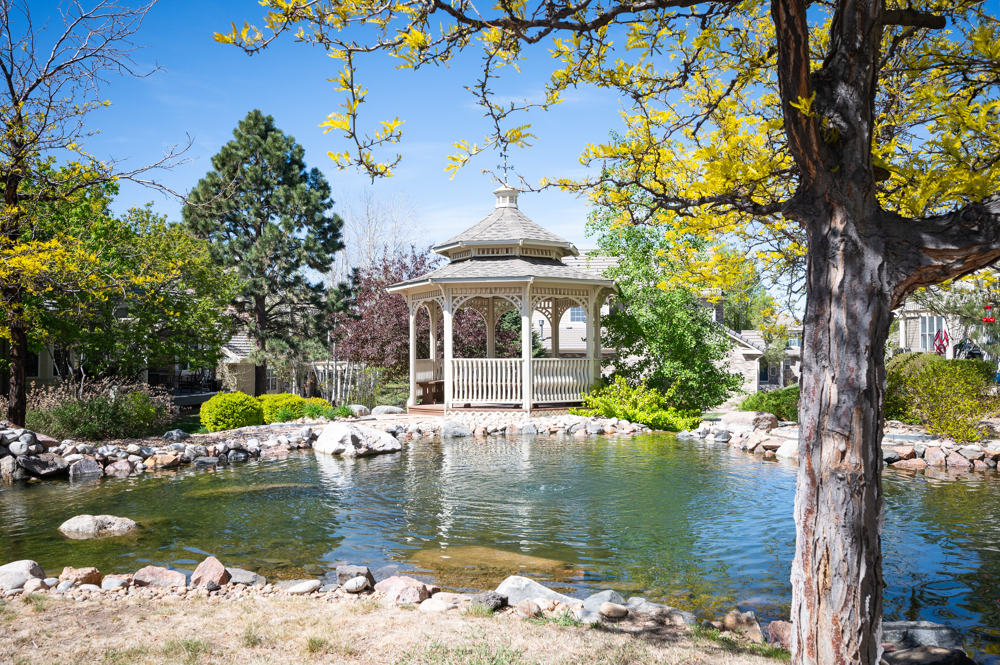  Fabulous Patio Home In Gated Community - 物件實景