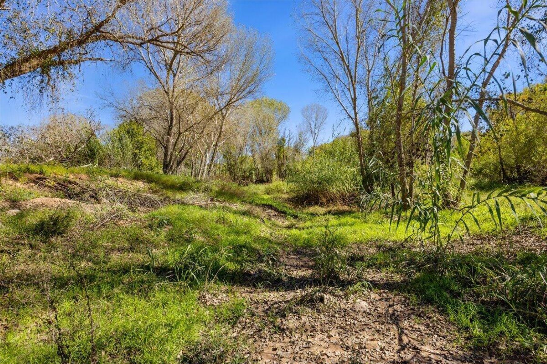  4281 E Sandy Hollow Ln¦Cottonwood, AZ - 物件實景