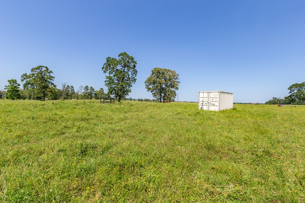 Pollok, Texas, 75969, United States, ,Residential,For Sale,1928088