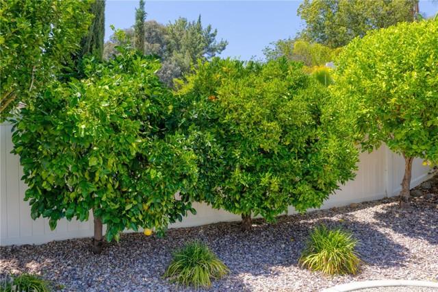 Murrieta, California, 92562, United States, 4 Bedrooms Bedrooms, ,3 BathroomsBathrooms,Residential,For Sale,1865930