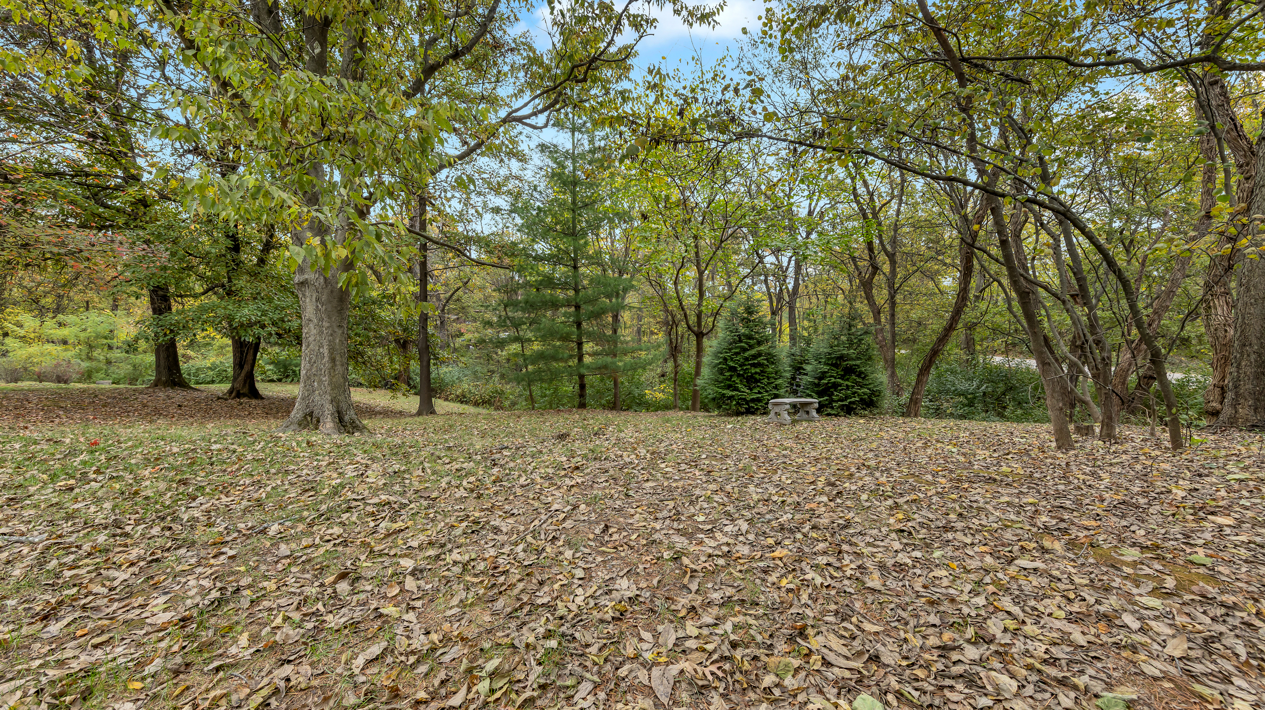 Waterloo, Illinois, 62298, United States, 3 Bedrooms Bedrooms, ,3 BathroomsBathrooms,Residential,For Sale,1986147