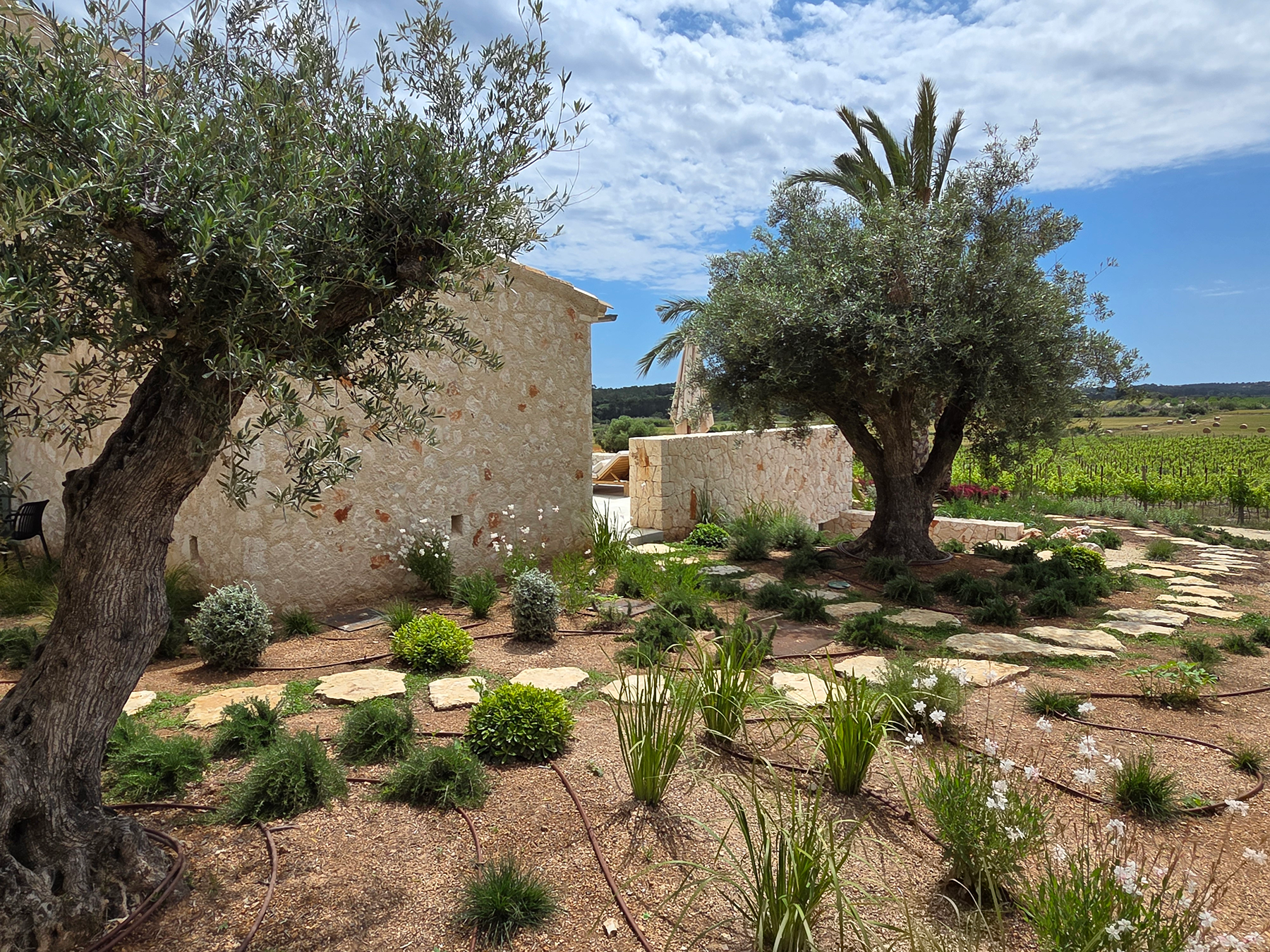  Country estate with private vineyard in Montuiri - 物件實景