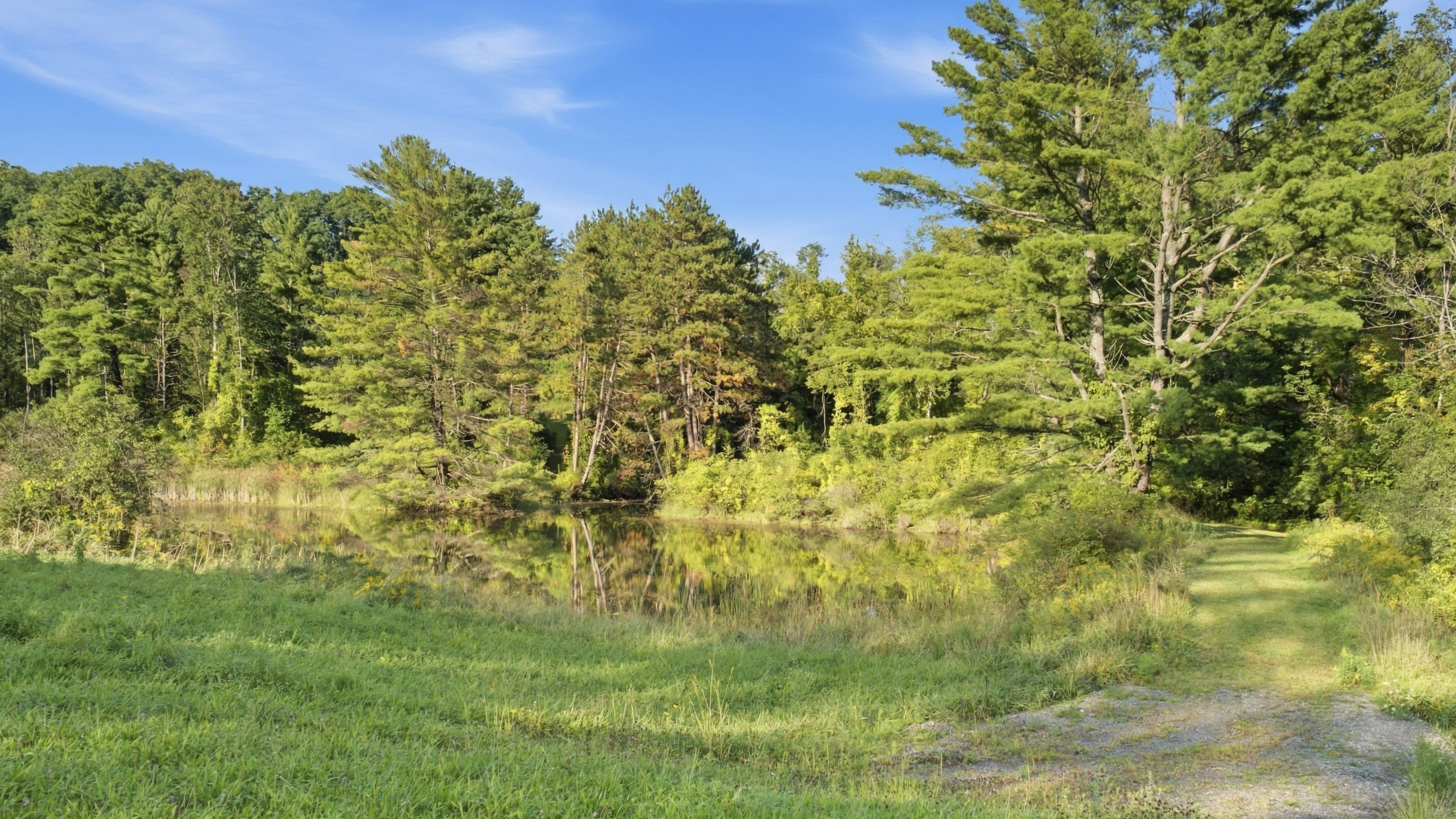  Richmond Estate Near Tanglewood: 5+ Acres, Pond Access, & Bonus Suite - 物件實景