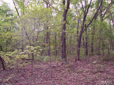 Farmington, Missouri, 63640, United States, ,Land,For Sale,1942190