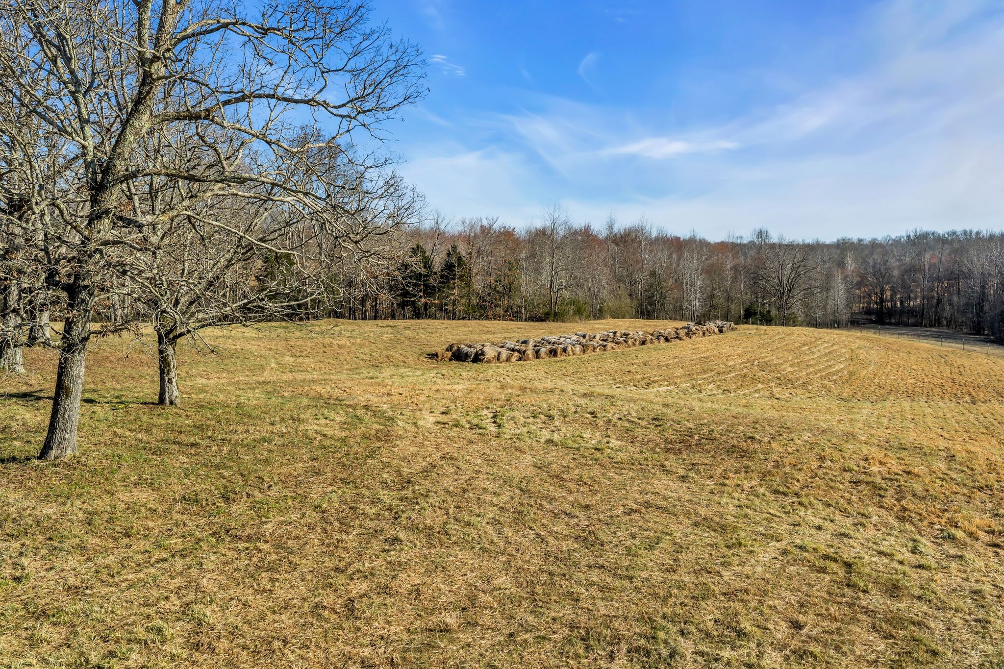  2340 Ridge Road, McEwen, TN 37101 - 物件實景