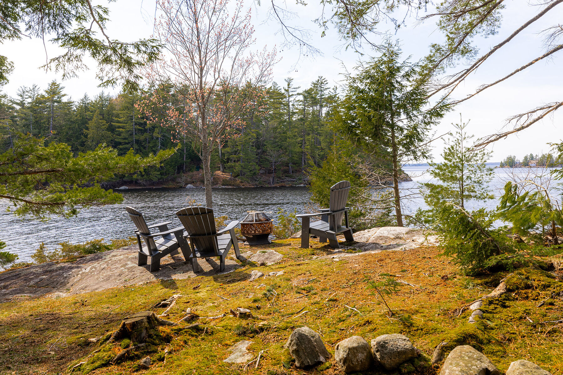 Opportunity on Lake Muskoka - 物件實景