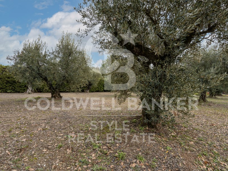 Carretera de Castellar Barcelona, Matadepera, Mata, Matadepera, Catalonia, 08227, ES, 7 Bedrooms Bedrooms, ,3 BathroomsBathrooms,Residential,For Sale,Carretera de Castellar Barcelona, Matadepera, Mata,1448691