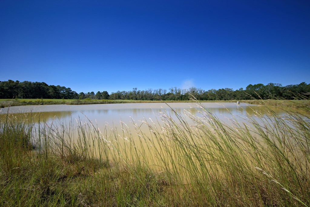 Pavo, Georgia, 31778, United States, ,Residential,For Sale,1988640