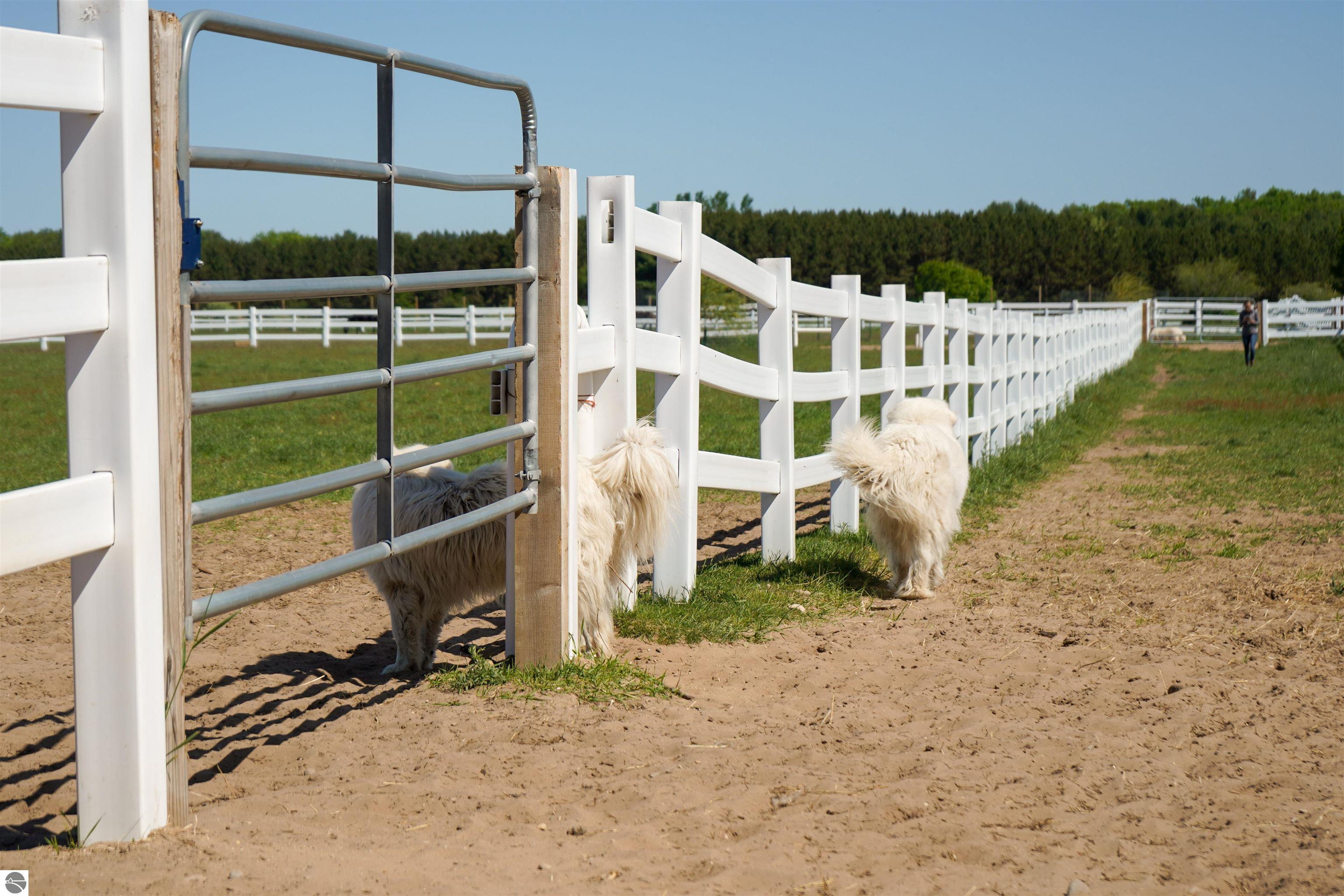 Traverse City, Michigan, 49686, United States, 3 Bedrooms Bedrooms, ,2 BathroomsBathrooms,Residential,For Sale,1819193