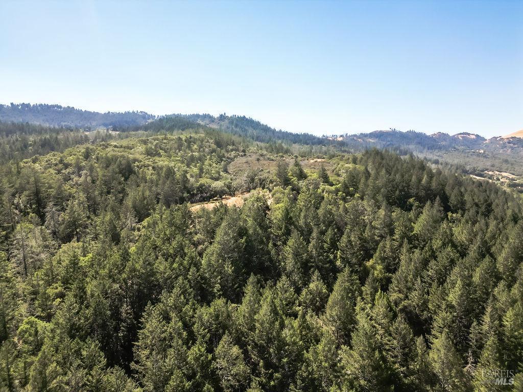 St. Helena, California, 94574, United States, ,Residential,For Sale,1846631