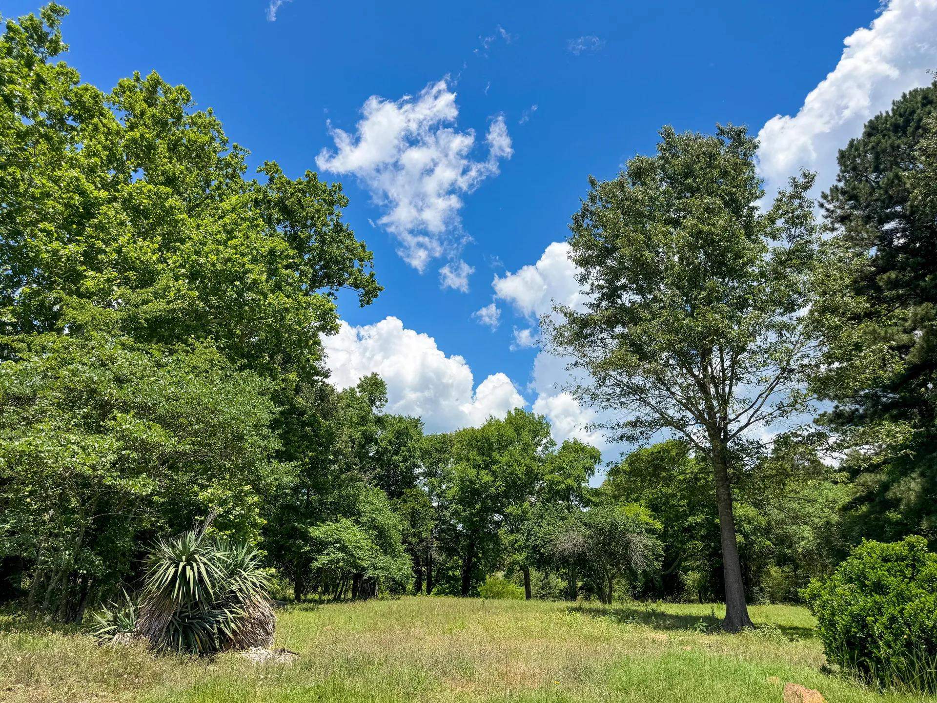 Douglassville, Texas, 75560, United States, ,Land,For Sale,2048006