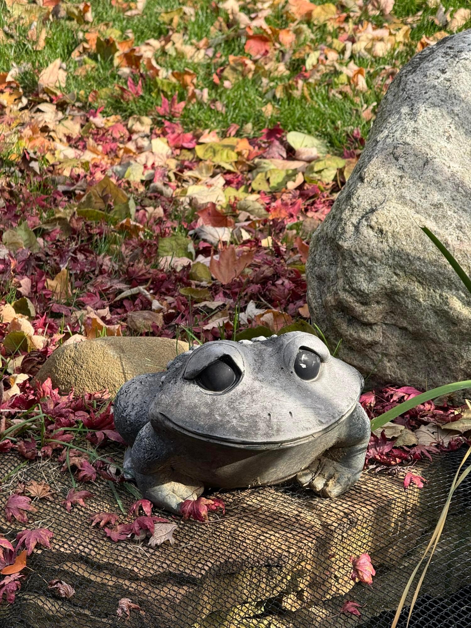 Dublin, Ohio, 43016, United States, 4 Bedrooms Bedrooms, ,4 BathroomsBathrooms,Residential,For Sale,1996840