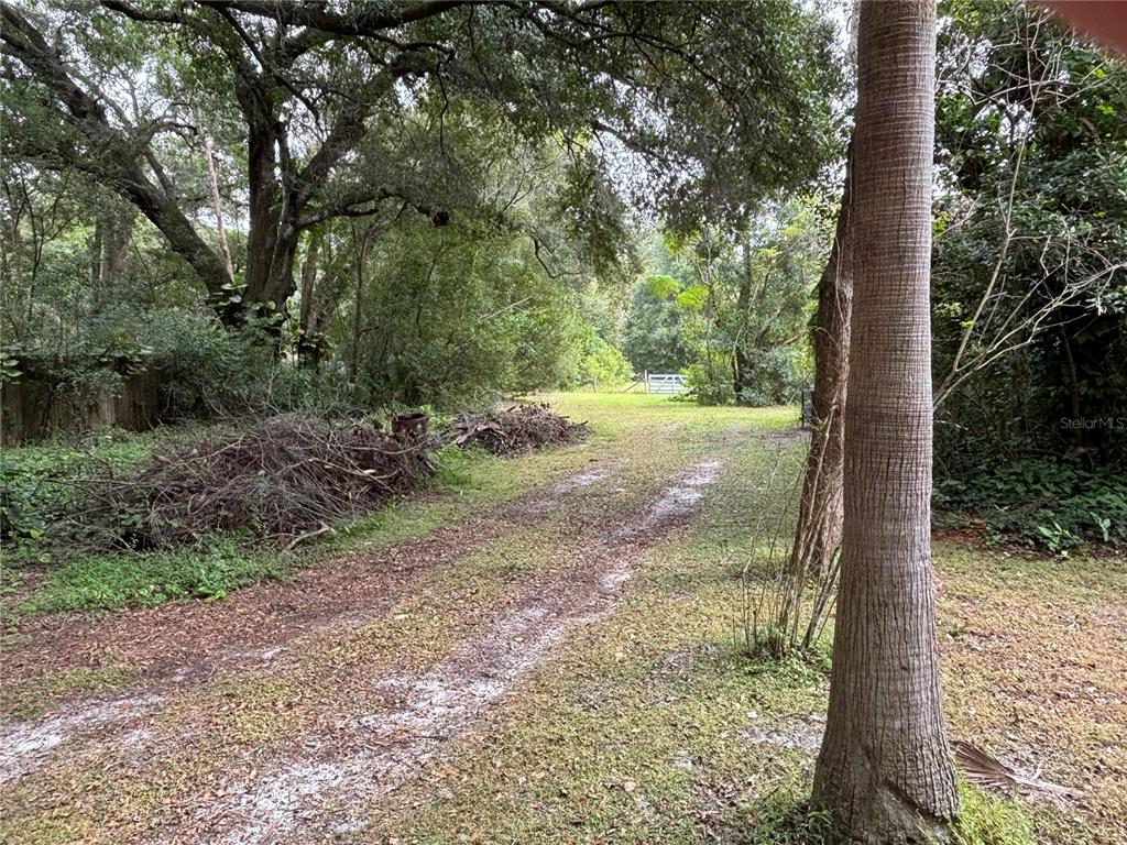 Apopka, Florida, 32712, United States, ,Land,For Sale,1998337