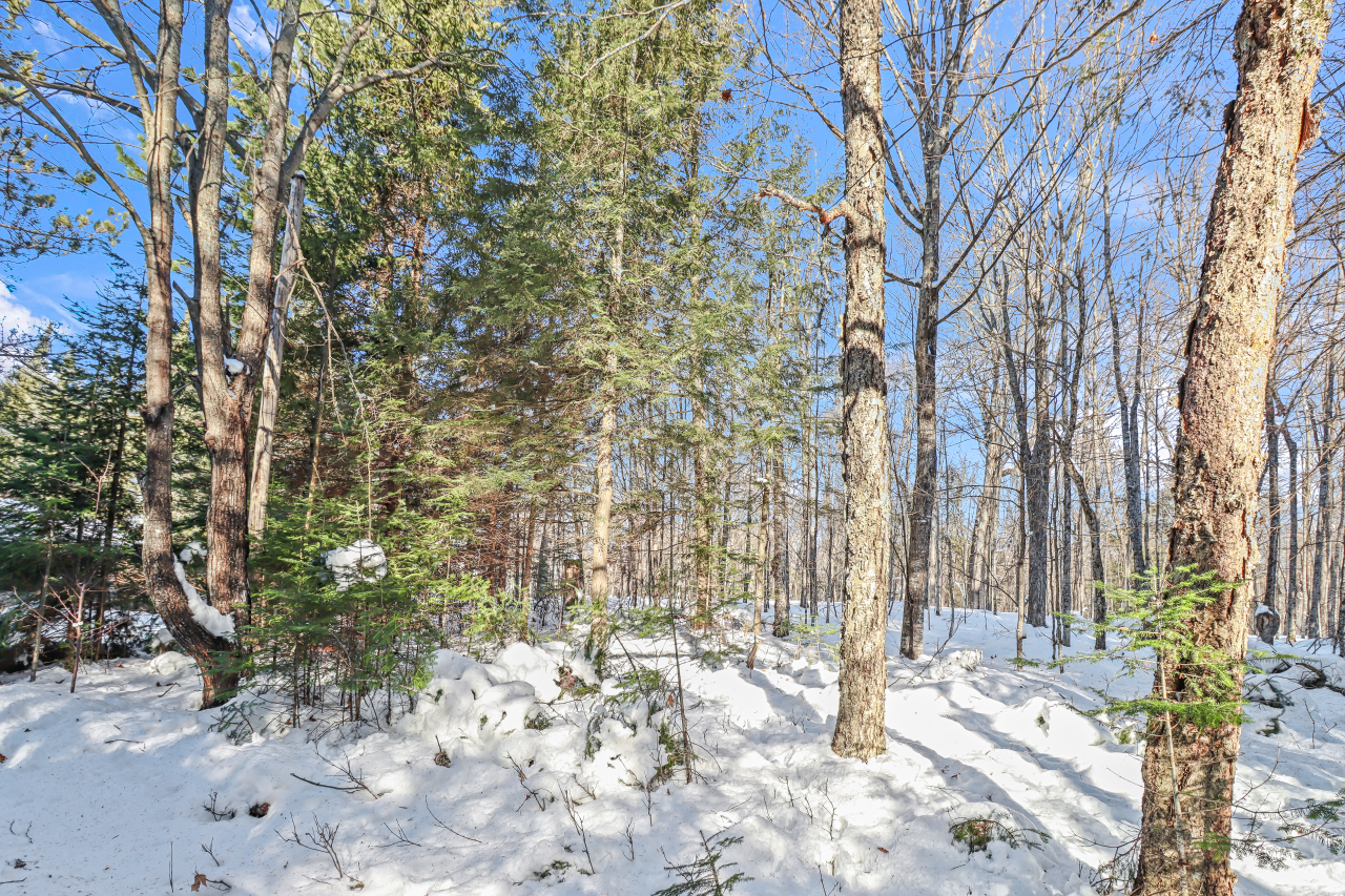 Land O Lakes, Wisconsin, 54540, United States, 3 Bedrooms Bedrooms, ,3 BathroomsBathrooms,Residential,For Sale,2005776