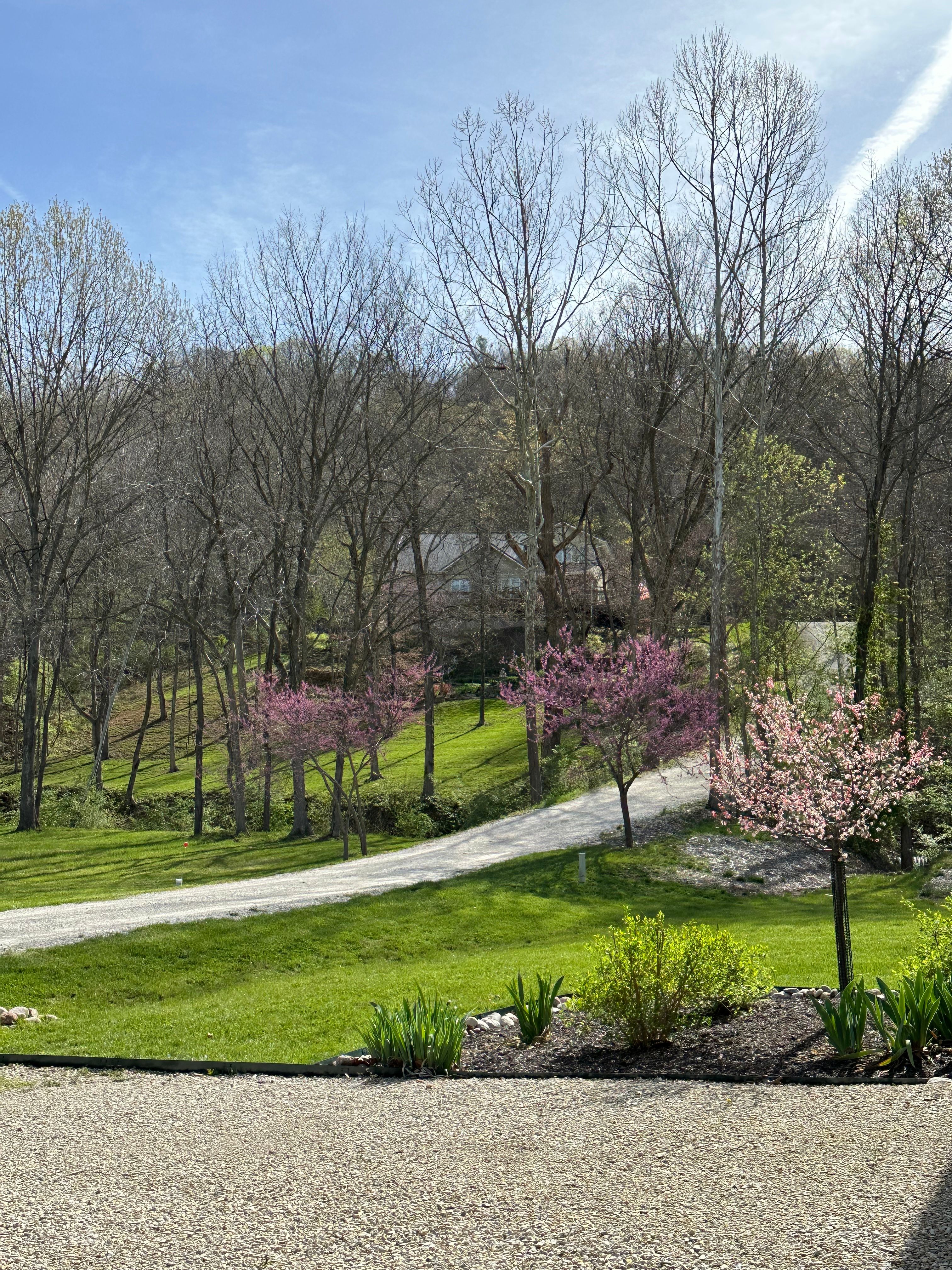  Exceptional 10-Acre Equestrian Retreat with Scenic Views & Modern Comforts - 物件實景