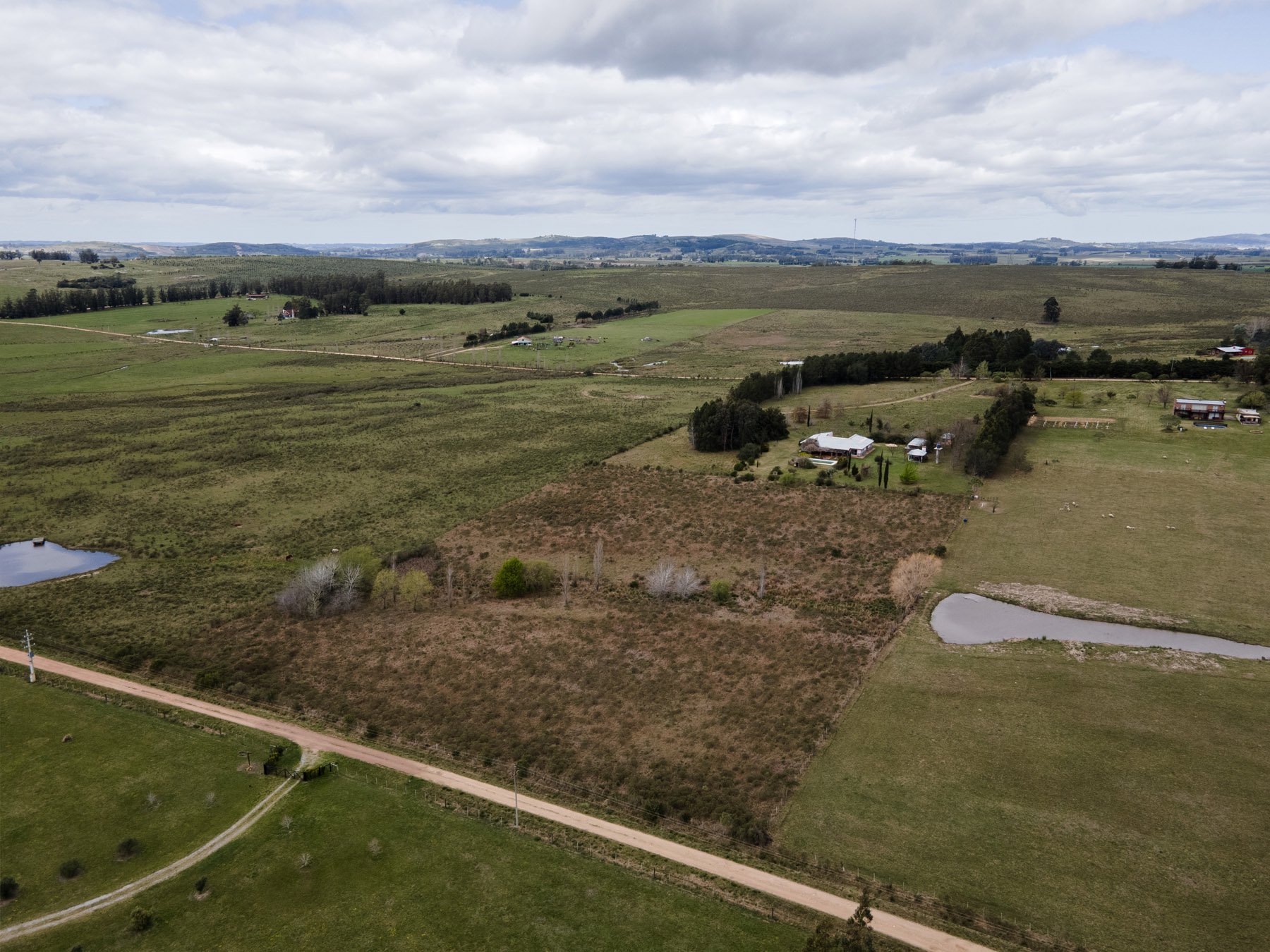  5-hectare farm in Pueblo Edén. - 物件實景