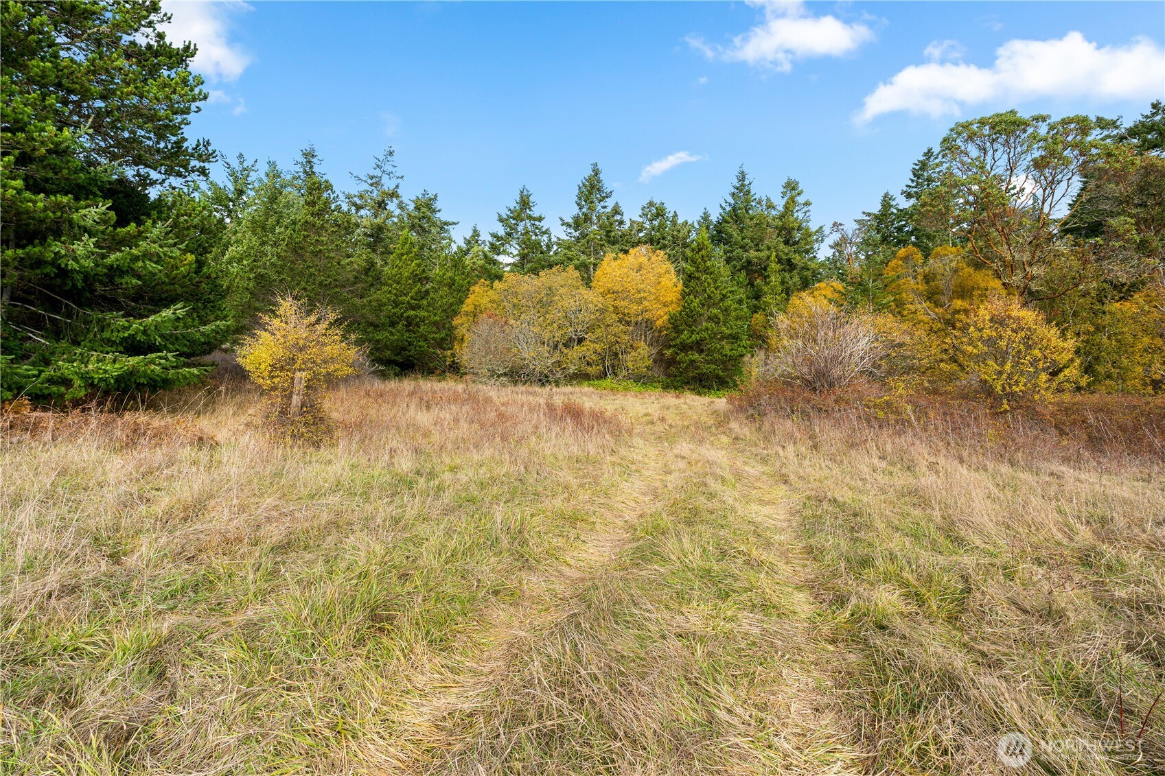 Friday Harbor, Washington, 98250, United States, ,Land,For Sale,1991931
