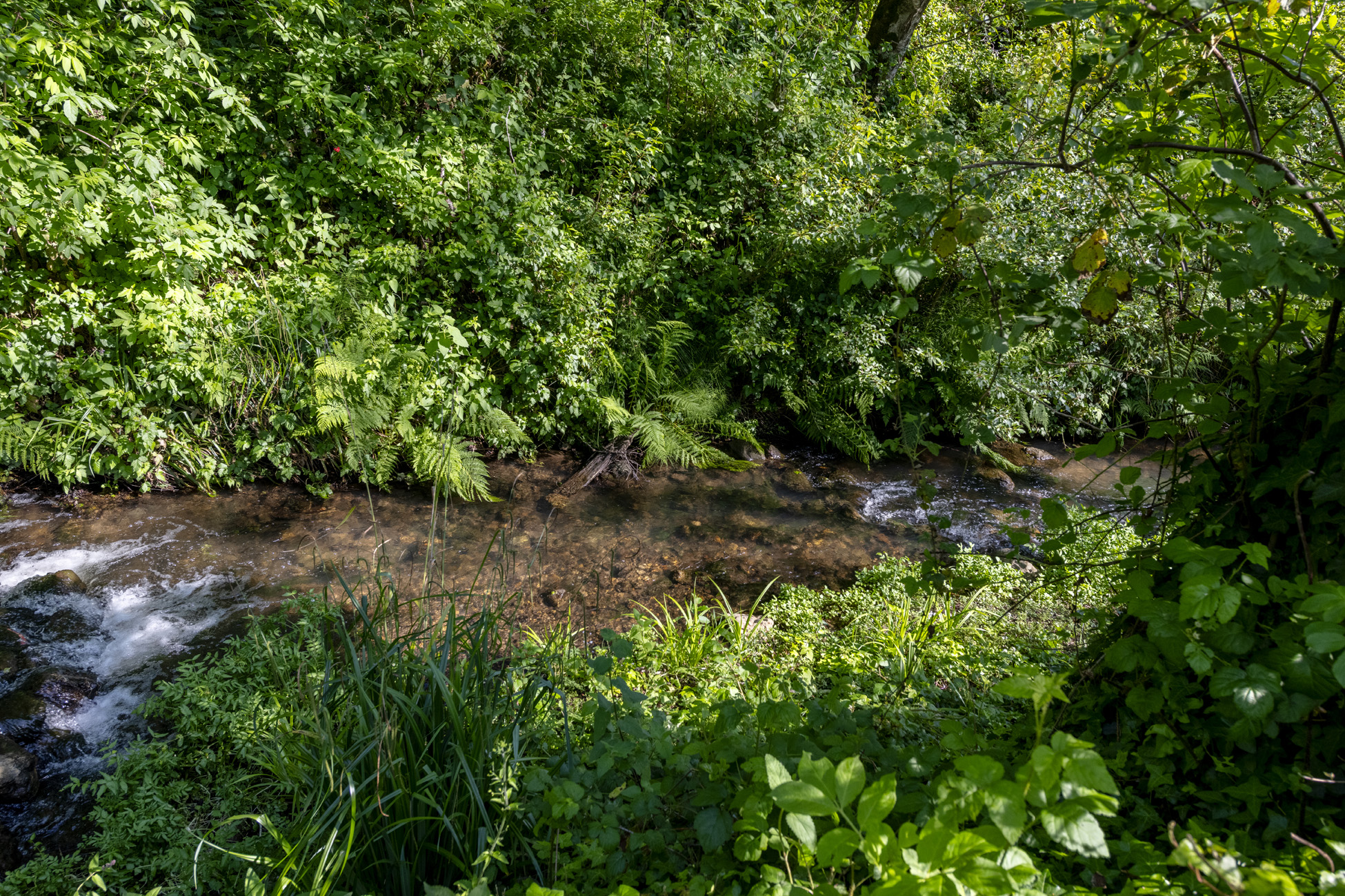  2570 Purissima Creek Rd, Half Moon Bay - 物件實景