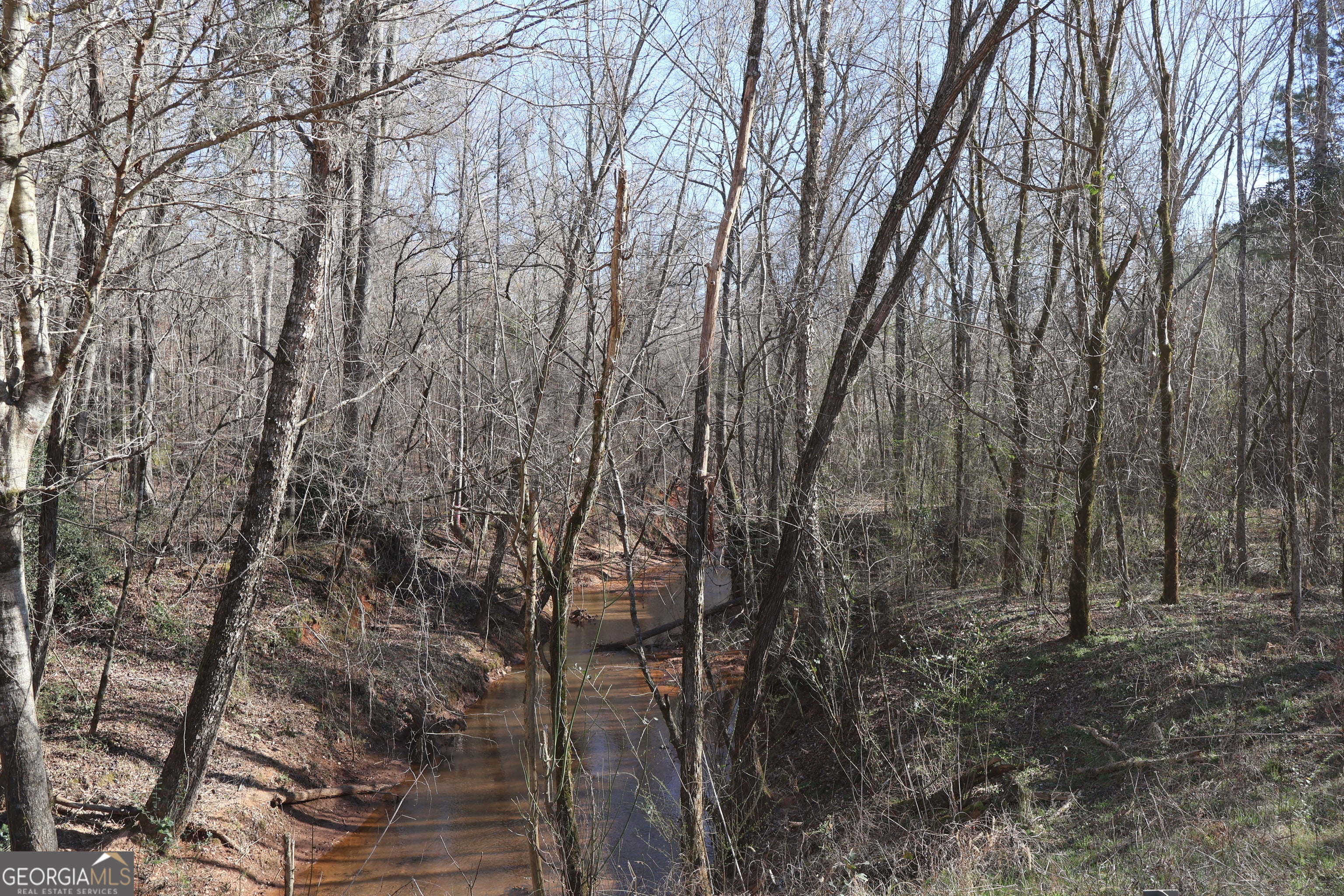 Forsyth, Georgia, 31029, United States, ,Land,For Sale,1858913