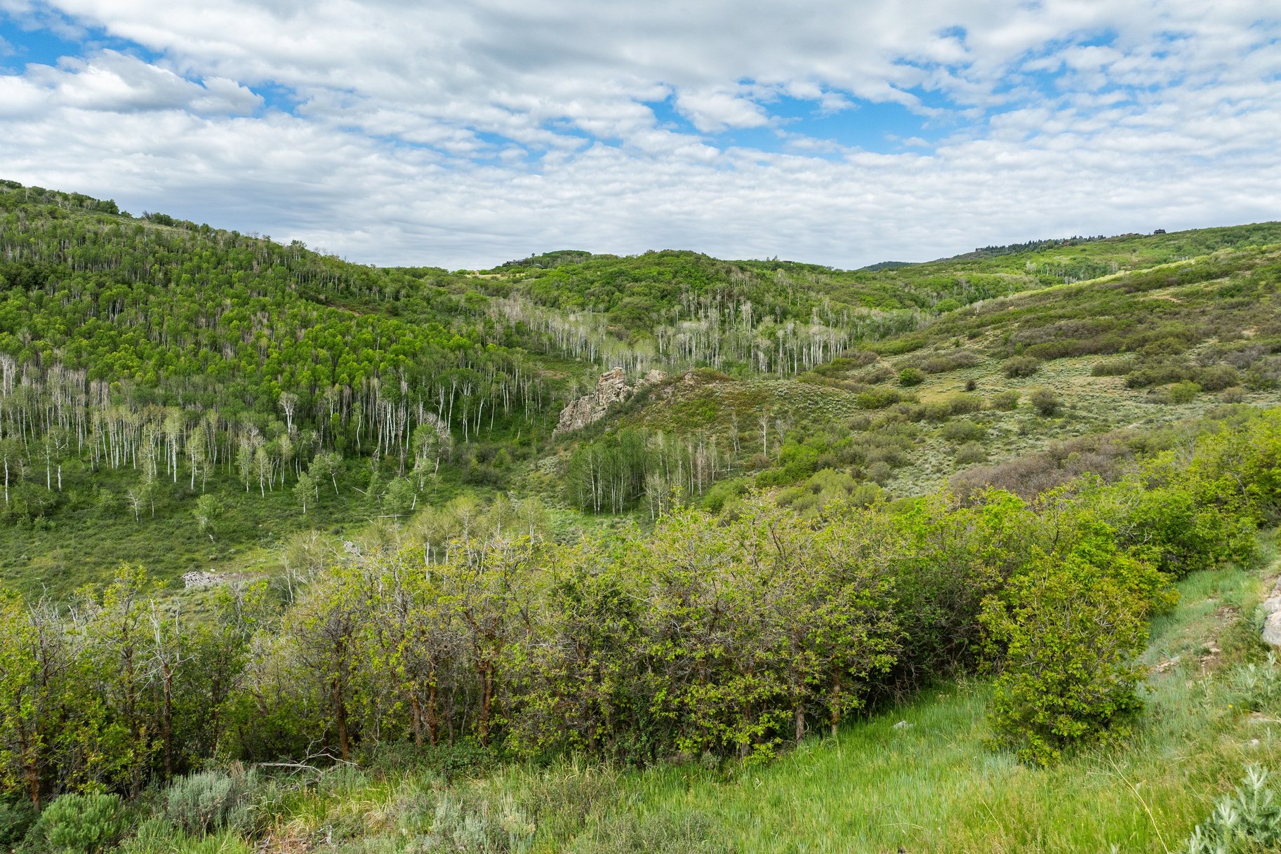 Rocky Point Preserve - 260+ Acre Preserve Just 20 Minutes to Park City - 物件實景