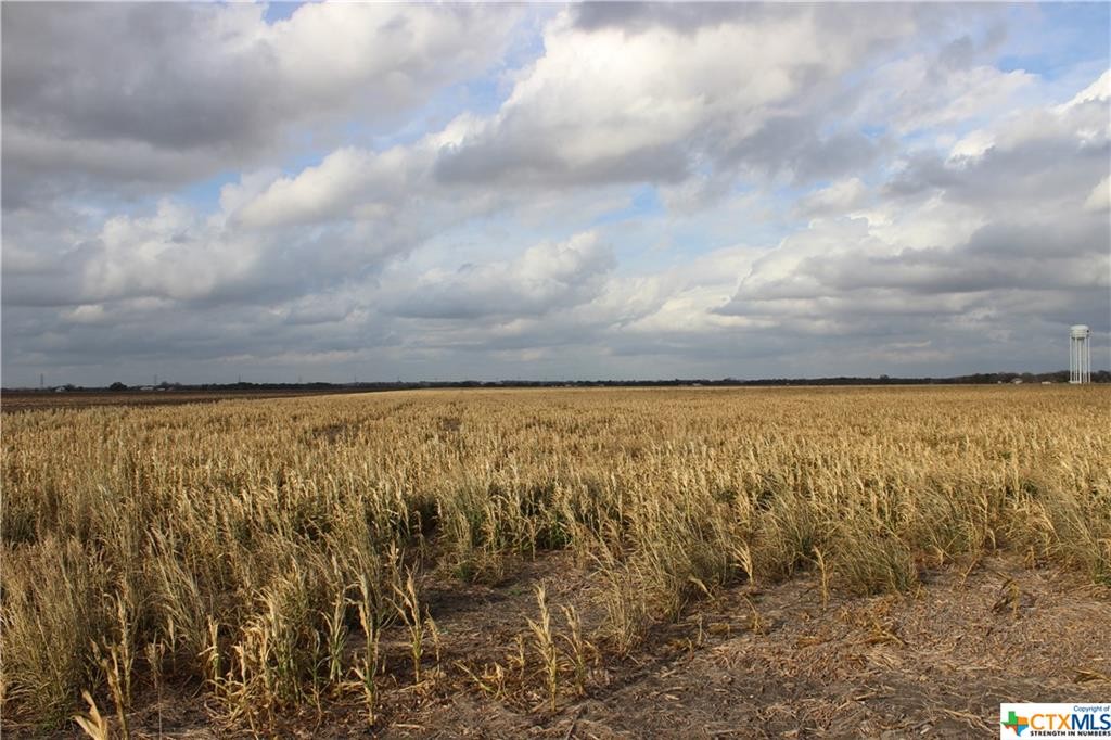 Tbd Friedens Church & Link Rd Road, Seguin, Texas, 78155, United States, ,Residential,For Sale,Tbd Friedens Church & Link Rd Road,1185694