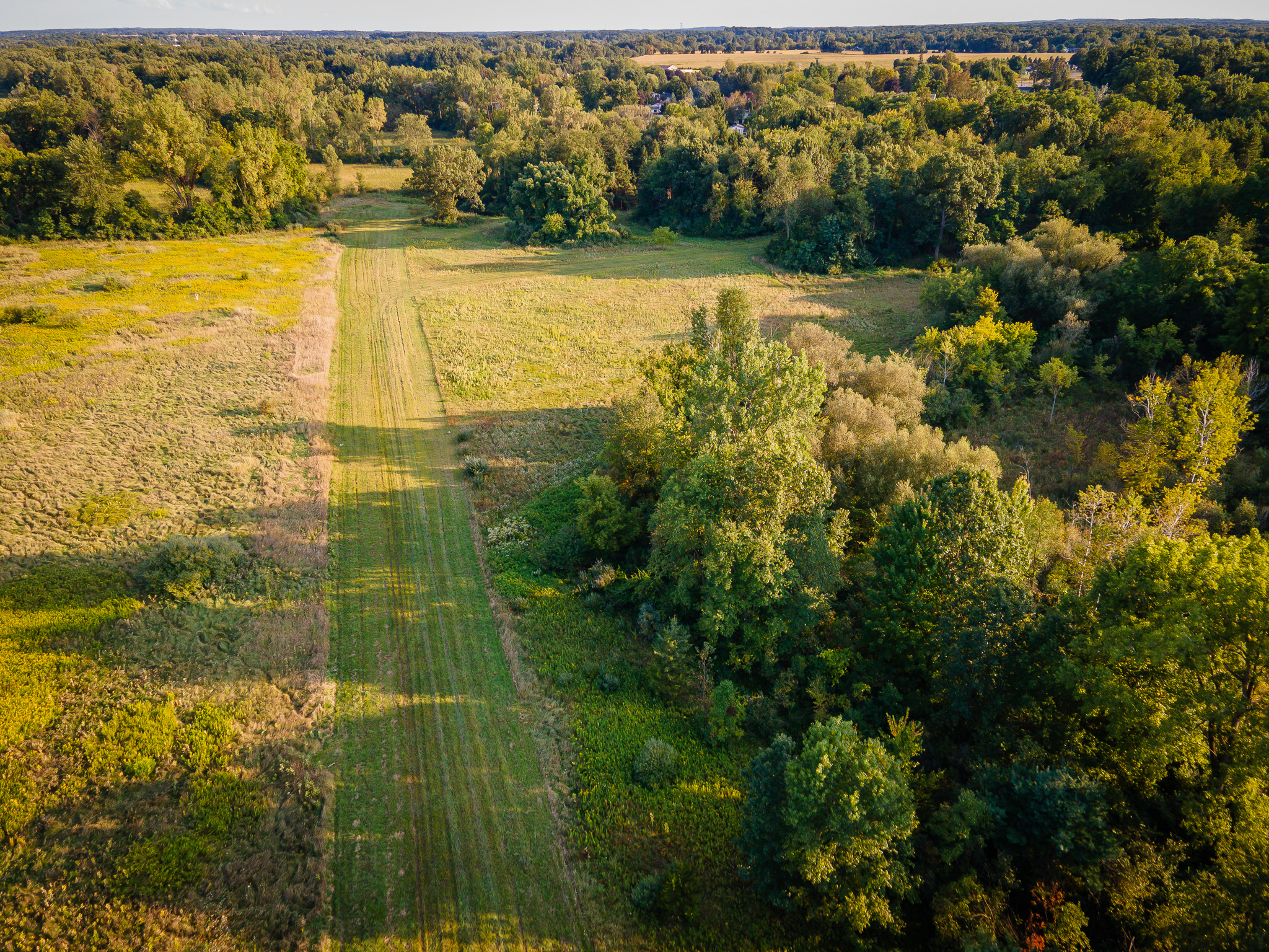 Jackson, Michigan, 49201, United States, 4 Bedrooms Bedrooms, ,2 BathroomsBathrooms,Residential,For Sale,1981022