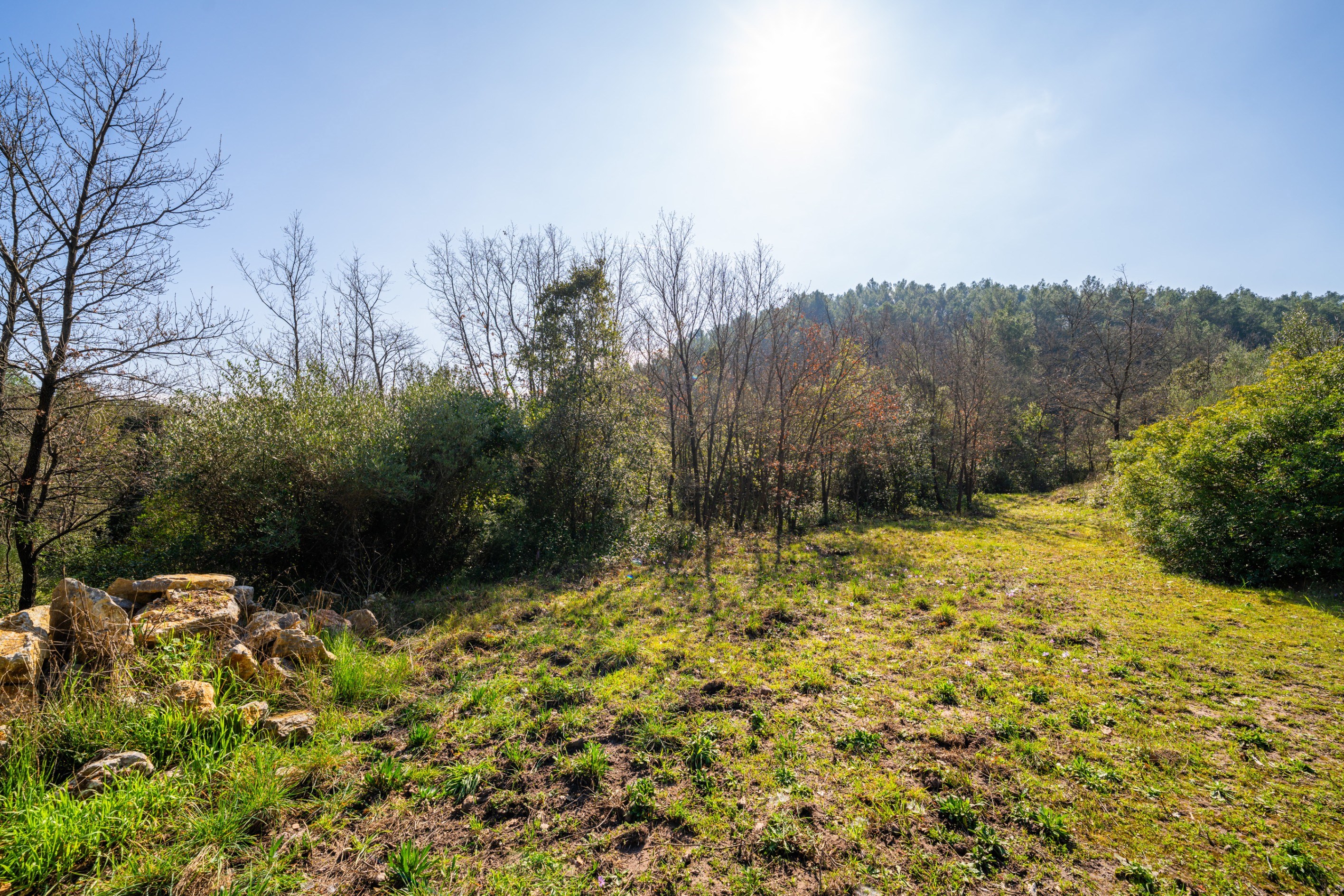  Gonfaron, Var – Renovated House on 8.5 Hectares of Land - 物件實景