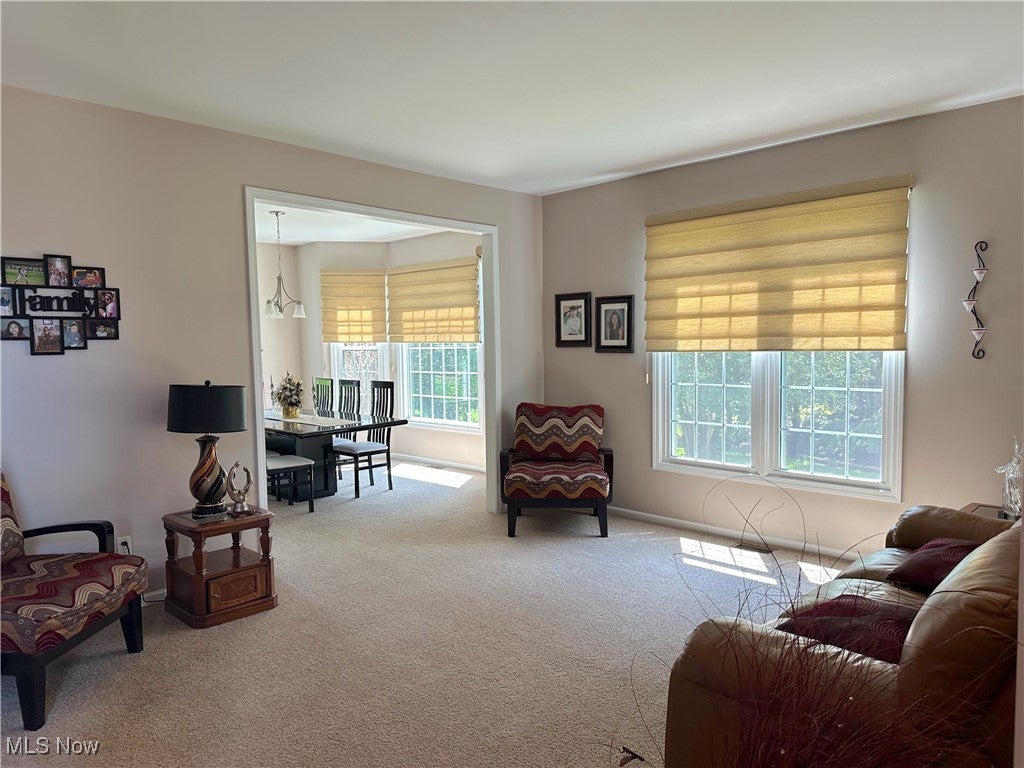 Twinsburg, Ohio, 44087, United States, 4 Bedrooms Bedrooms, ,4 BathroomsBathrooms,Residential,For Sale,1927884