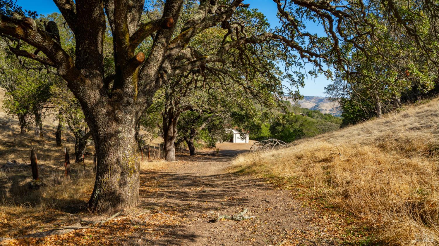 Fairfield, California, 94534, United States, 3 Bedrooms Bedrooms, ,3 BathroomsBathrooms,Residential,For Sale,1990865