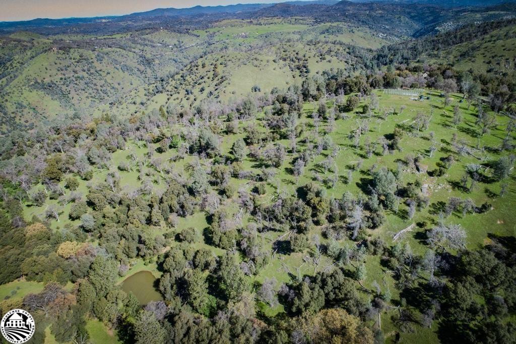16551 Wards Ferry, Big Oak Flat, California, 95305, United States, 2 Bedrooms Bedrooms, ,2 BathroomsBathrooms,Residential,For Sale,16551 Wards Ferry,1619355