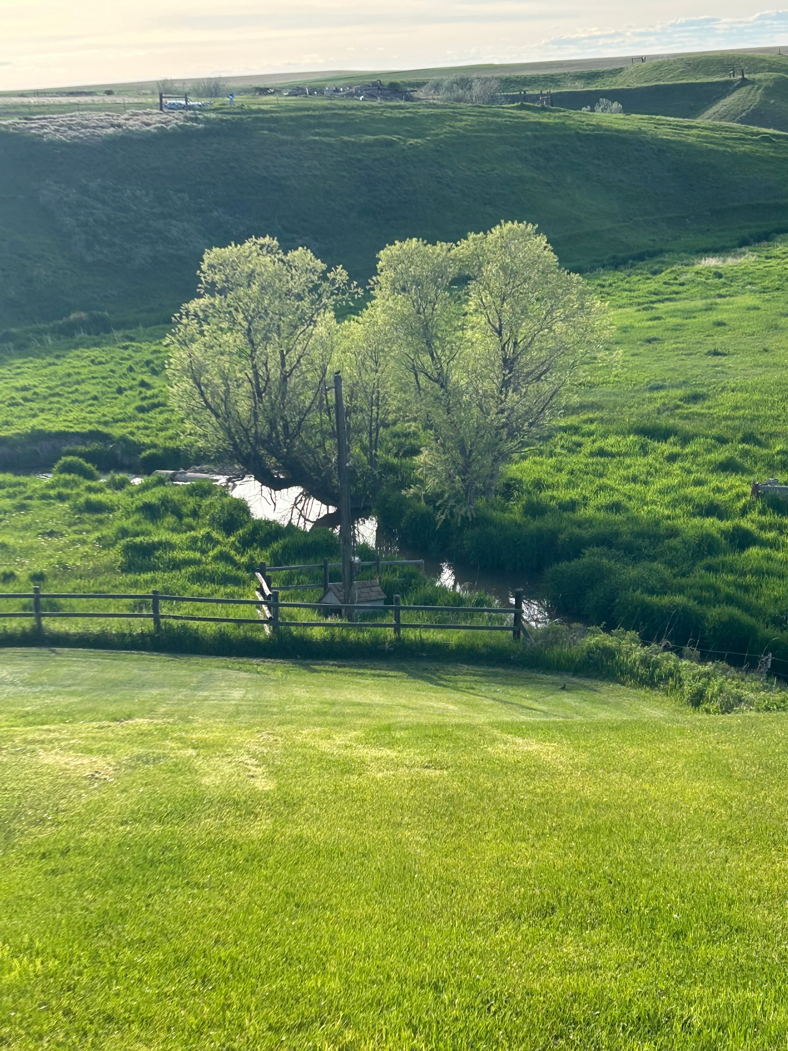 Great Falls, Montana, 59405, United States, 4 Bedrooms Bedrooms, ,4 BathroomsBathrooms,Residential,For Sale,1979870