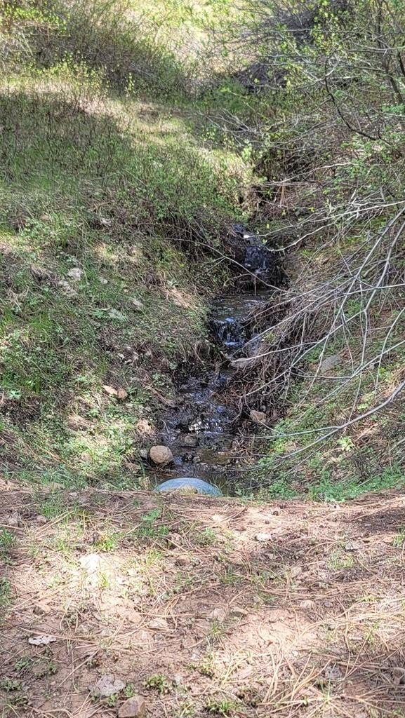 Council, Idaho, 83612, United States, 3 Bedrooms Bedrooms, ,2 BathroomsBathrooms,Residential,For Sale,1980798