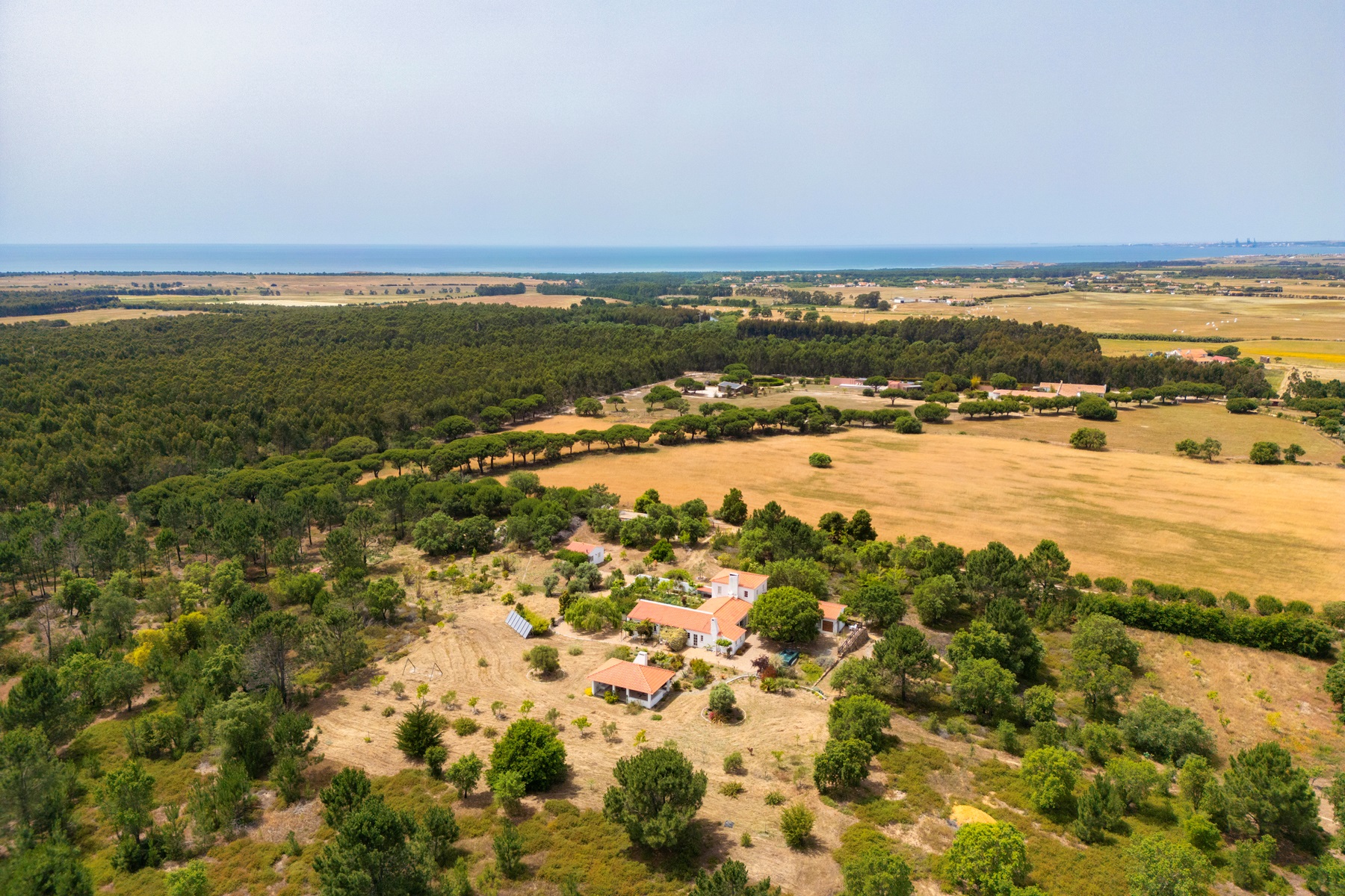  Farm, 7 bedrooms, for Sale - 物件實景