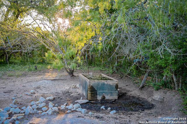 Beeville, Texas, 78102, United States, ,Land,For Sale,1942121