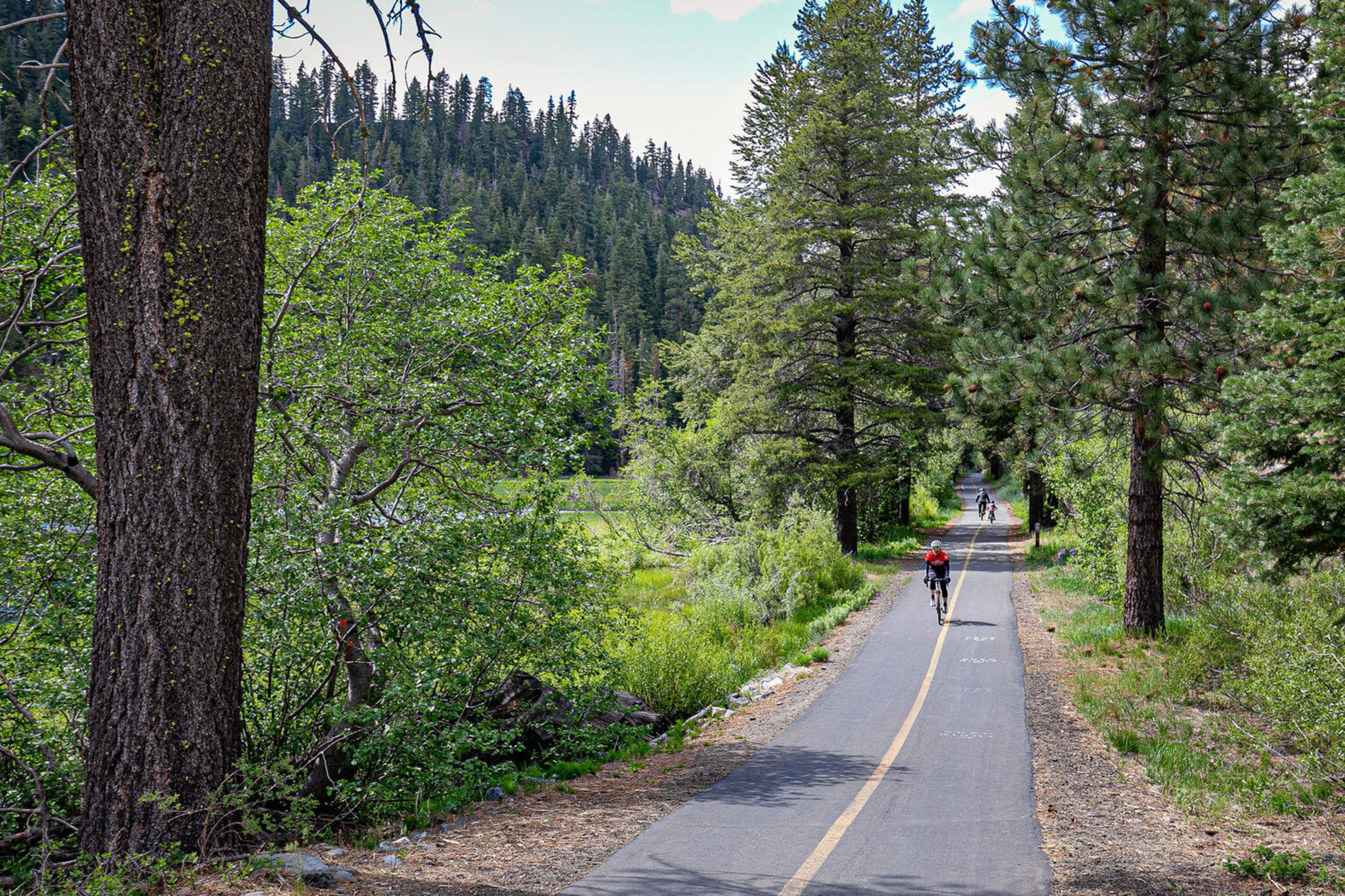  Sunny Condo in the Heart of Truckee - 物件實景