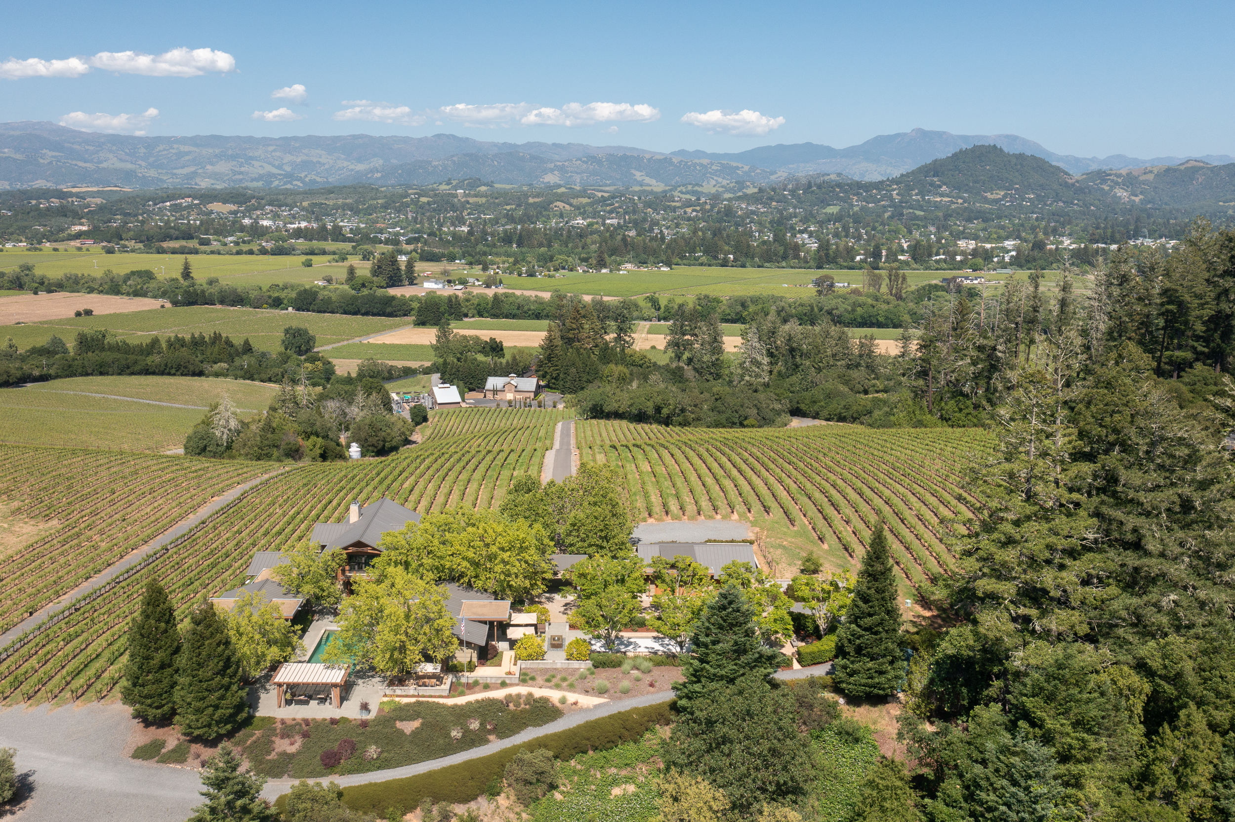  Healdsburg Architectural Estate - 物件實景